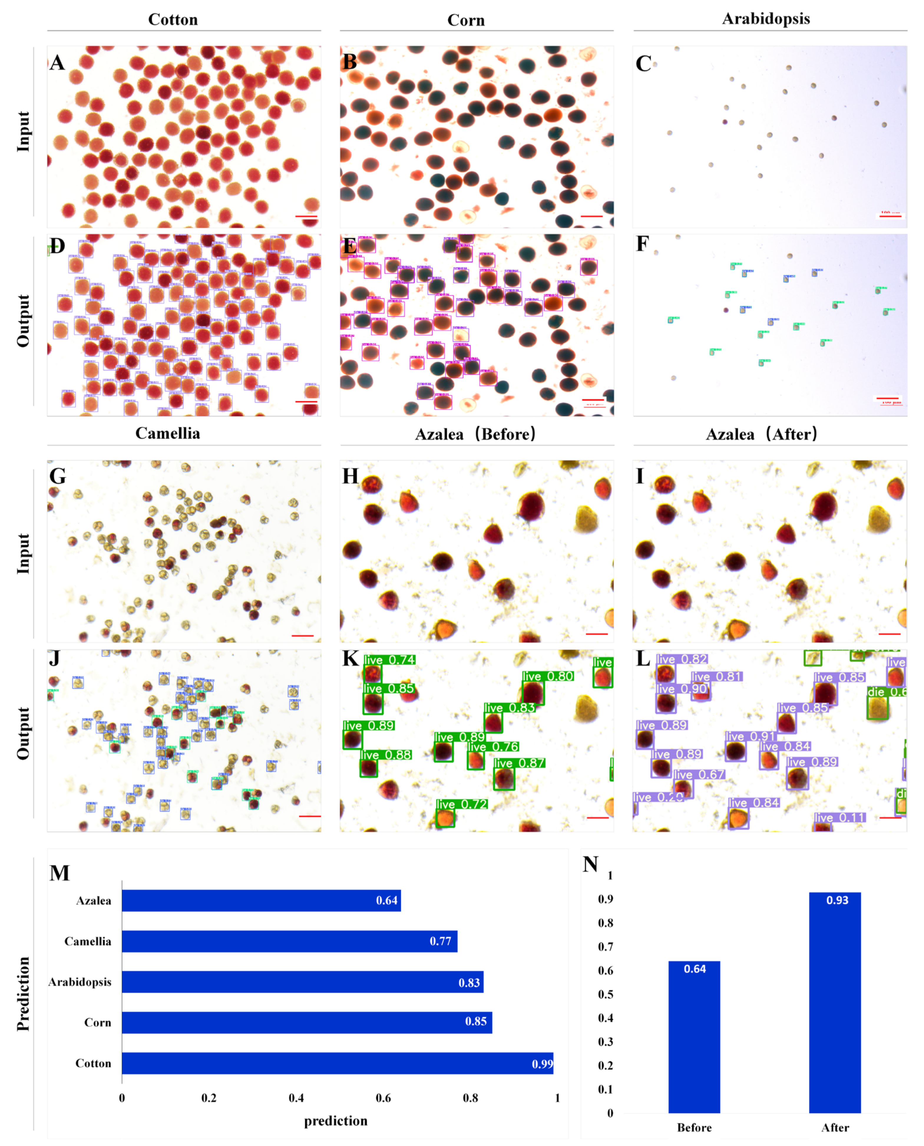 Ijms 23 13469 g003 Ijms 23 13469 g003