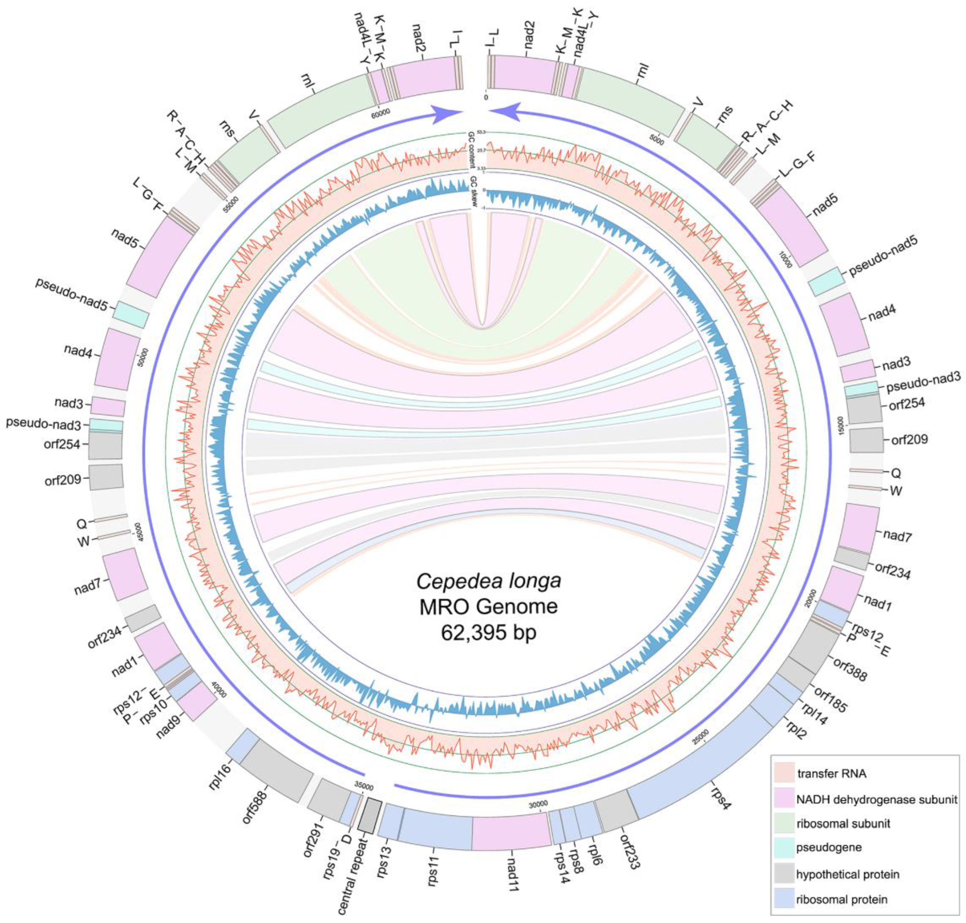 Ijms 23 13472 g002 Ijms 23 13472 g002