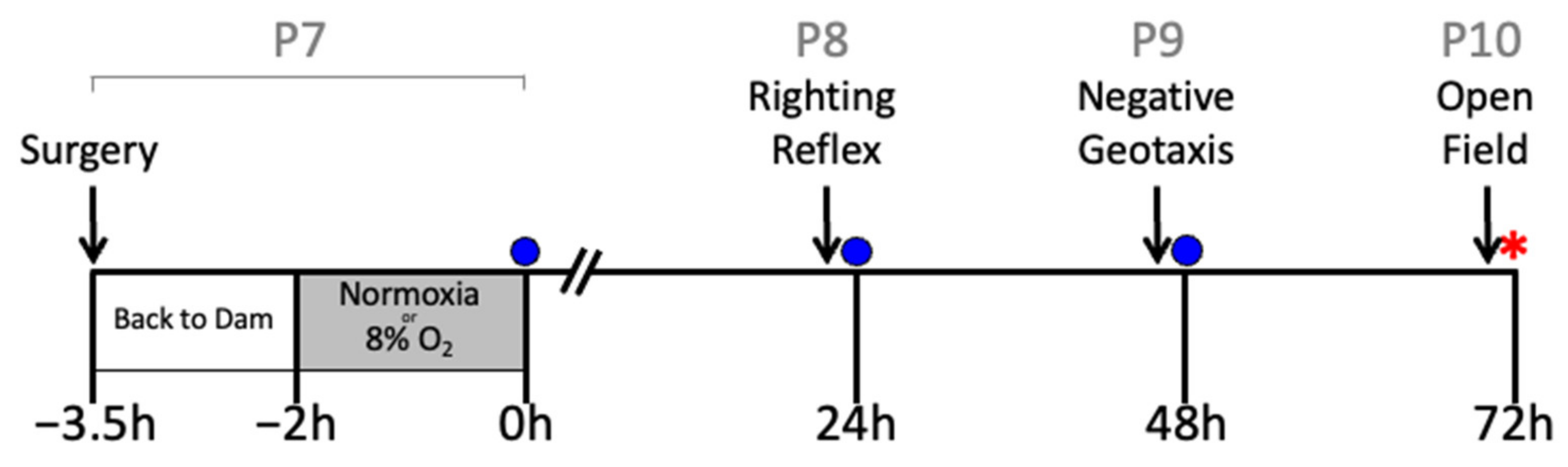 Ijms 23 13473 g010 Ijms 23 13473 g010