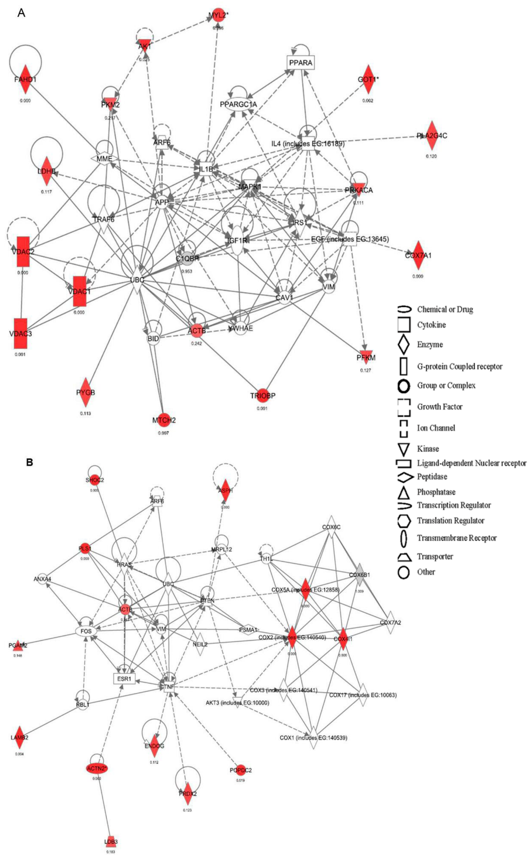 Ijms 23 13476 g004 Ijms 23 13476 g004