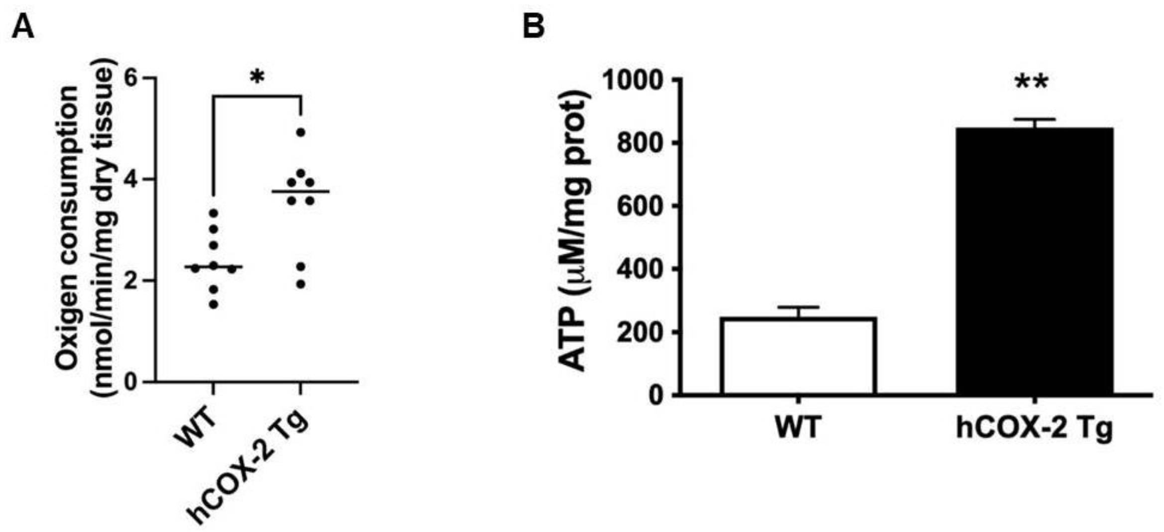 Ijms 23 13476 g006 Ijms 23 13476 g006