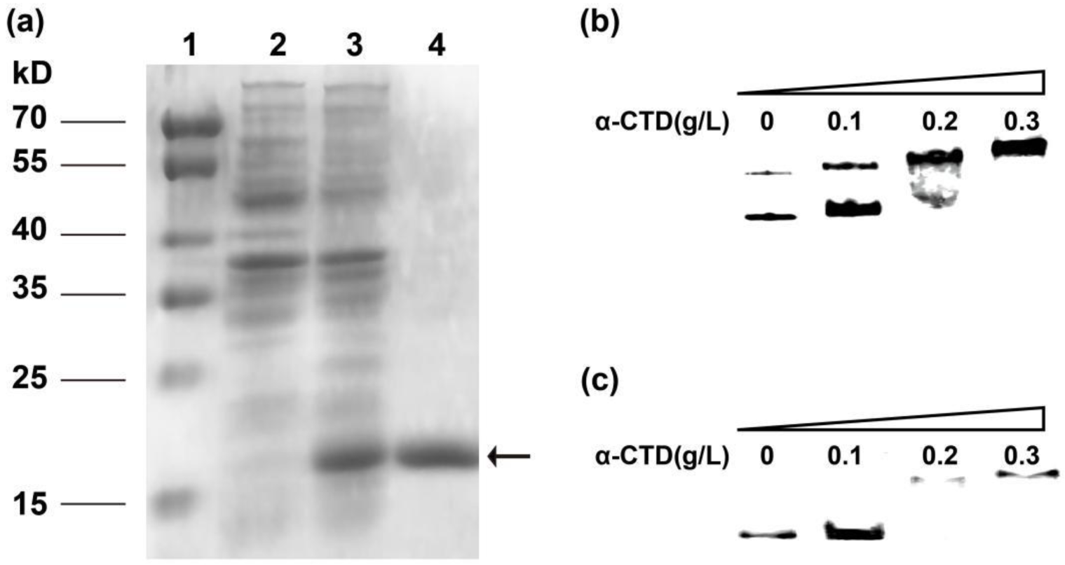 Ijms 23 13480 g002 Ijms 23 13480 g002