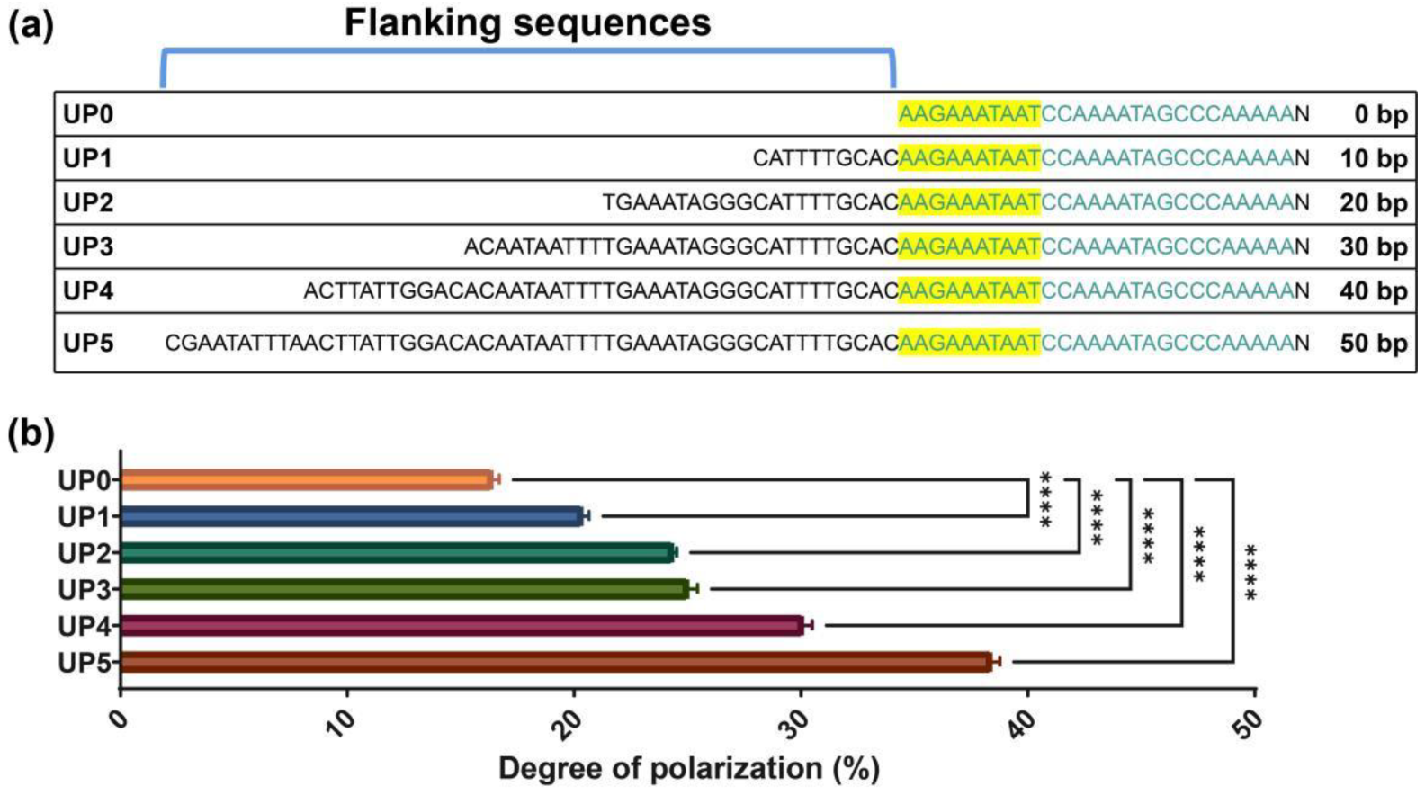 Ijms 23 13480 g004 Ijms 23 13480 g004