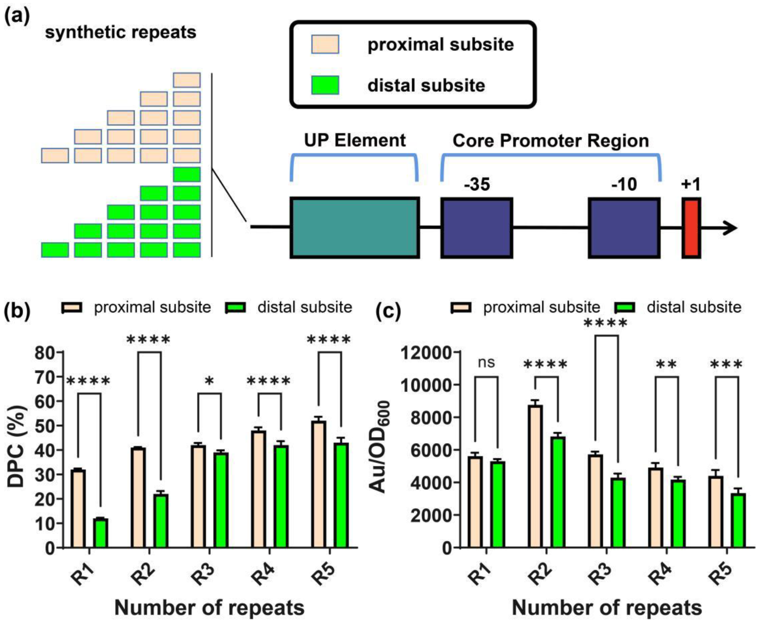 Ijms 23 13480 g006 Ijms 23 13480 g006
