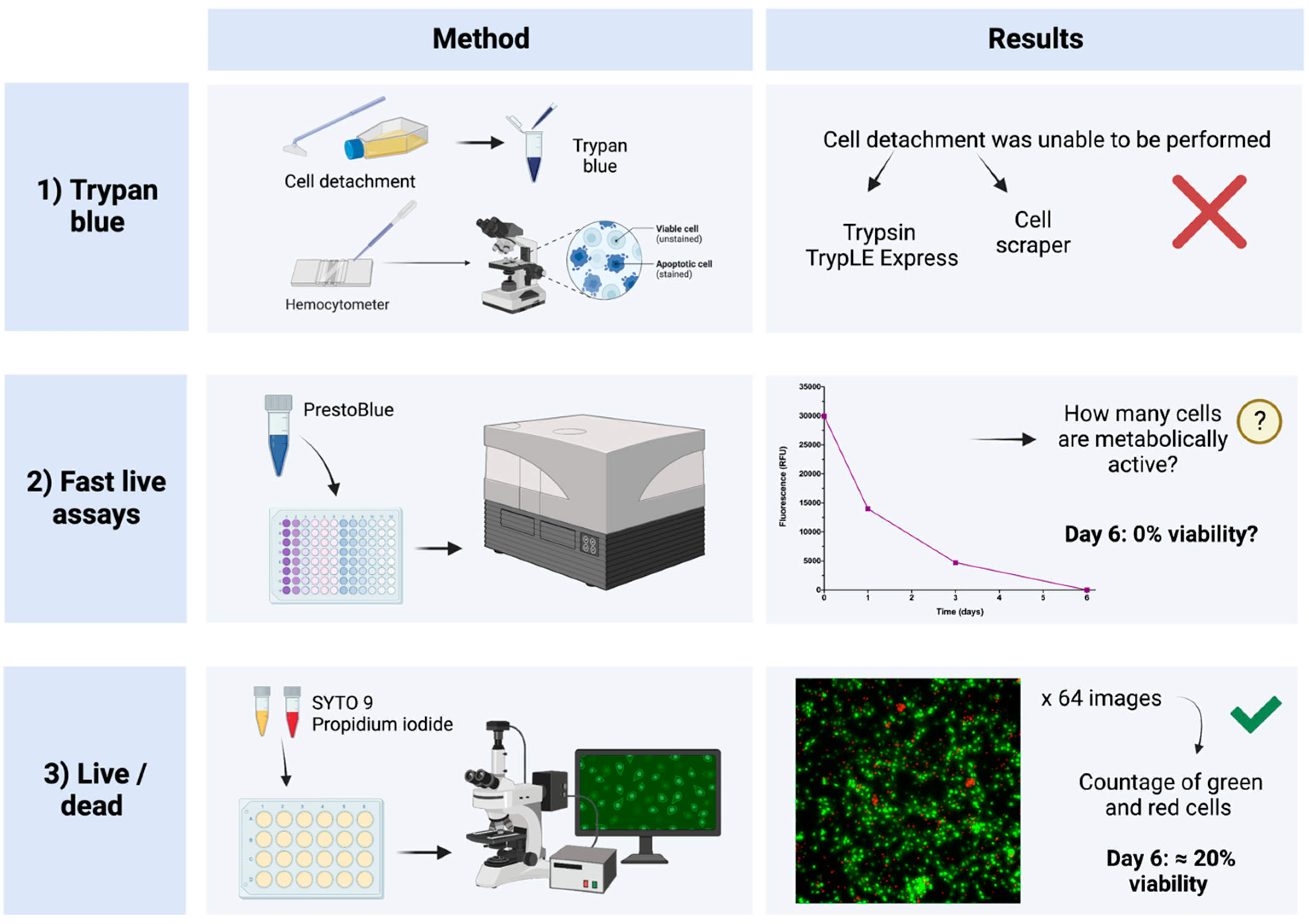 Ijms 23 13483 g005 Ijms 23 13483 g005