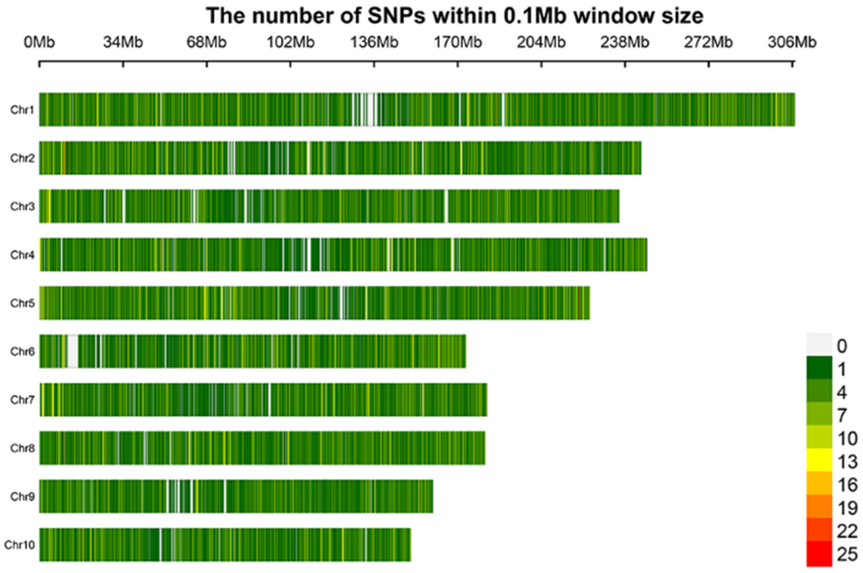 Ijms 23 13490 g001 Ijms 23 13490 g001