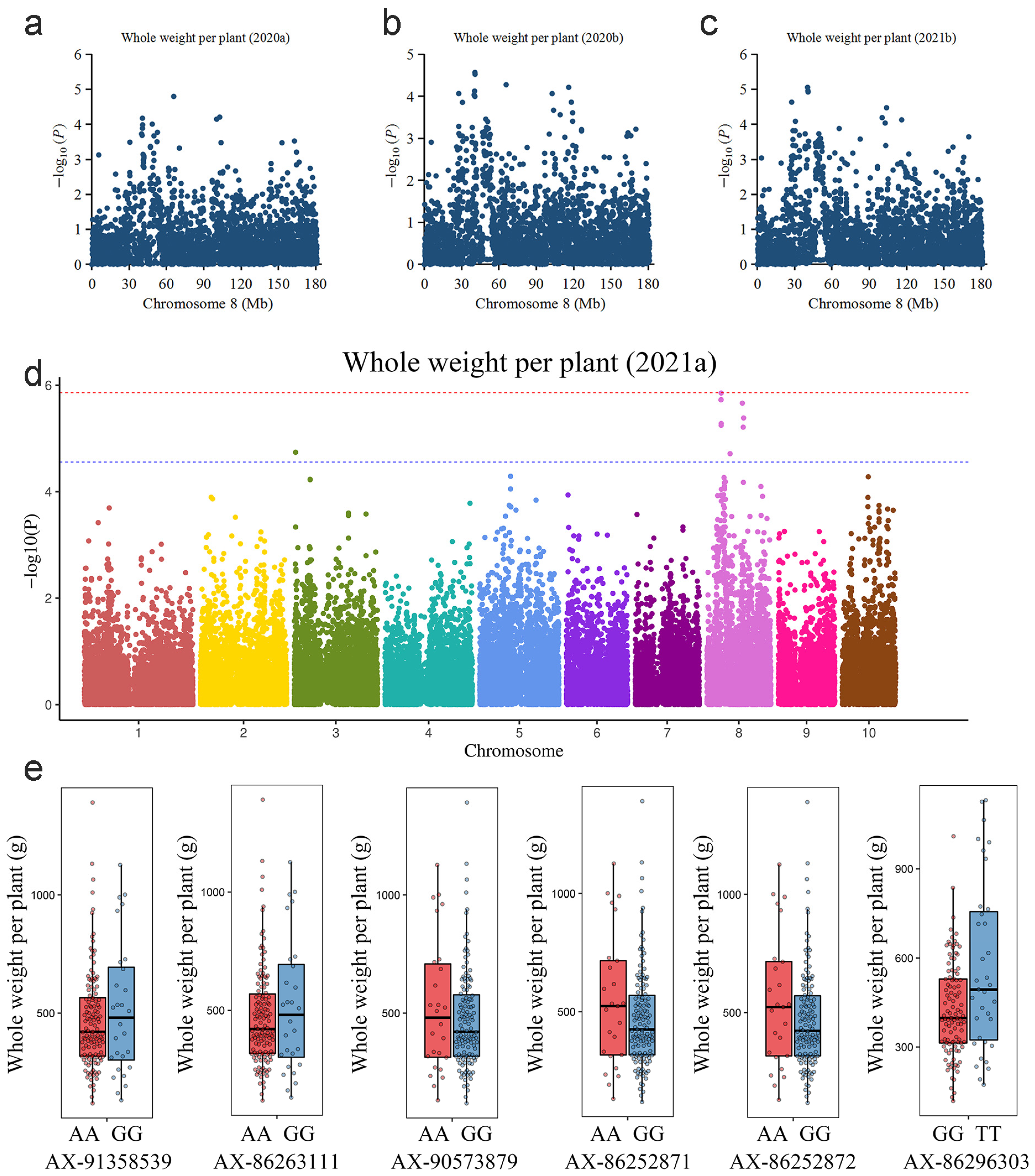 Ijms 23 13490 g004 Ijms 23 13490 g004