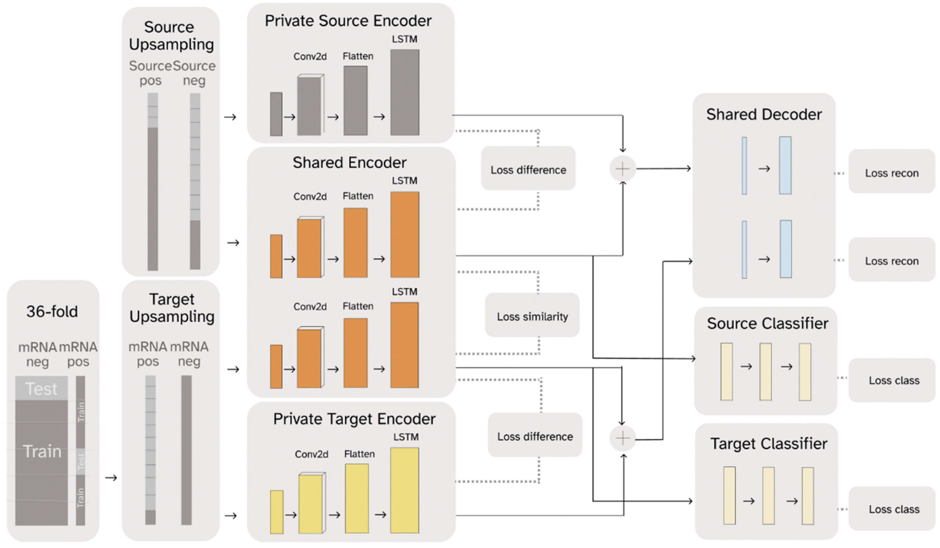 Ijms 23 13493 g001 Ijms 23 13493 g001