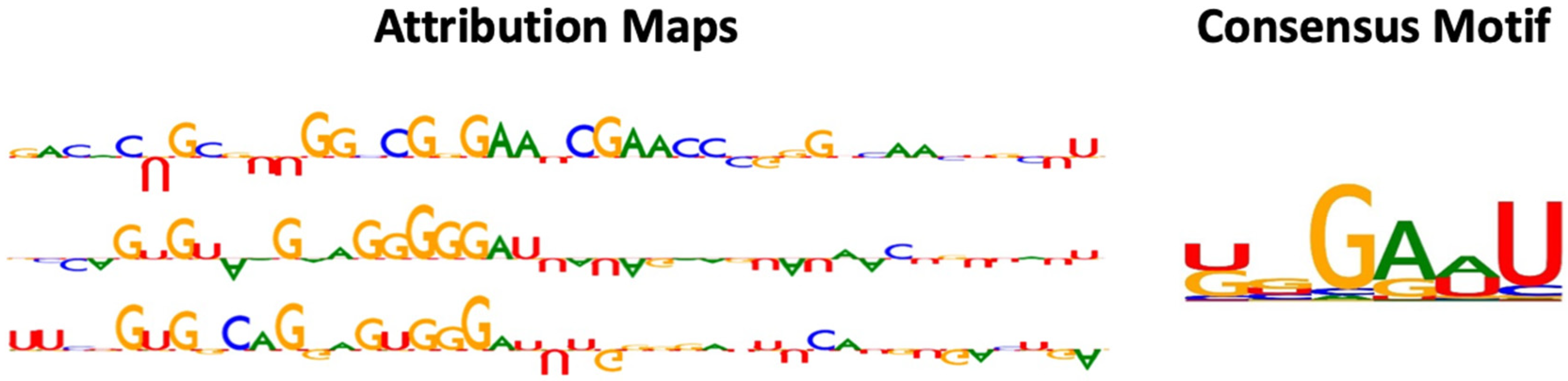 Ijms 23 13493 g002 Ijms 23 13493 g002