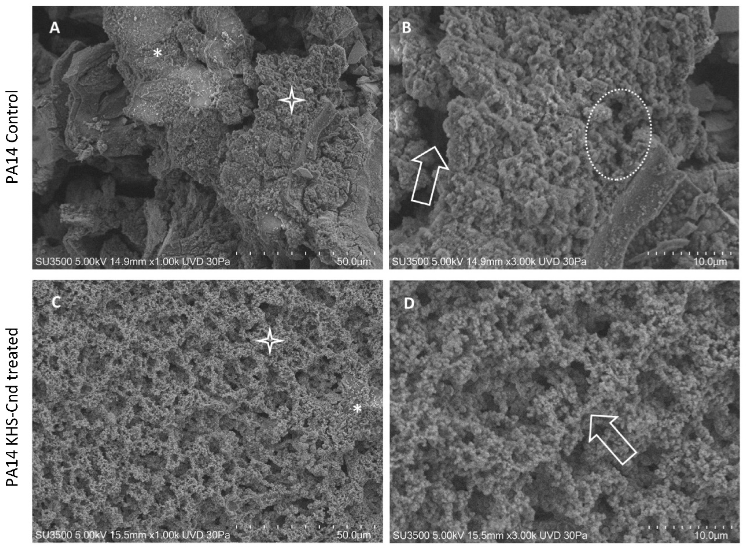 Ijms 23 13494 g002 Ijms 23 13494 g002