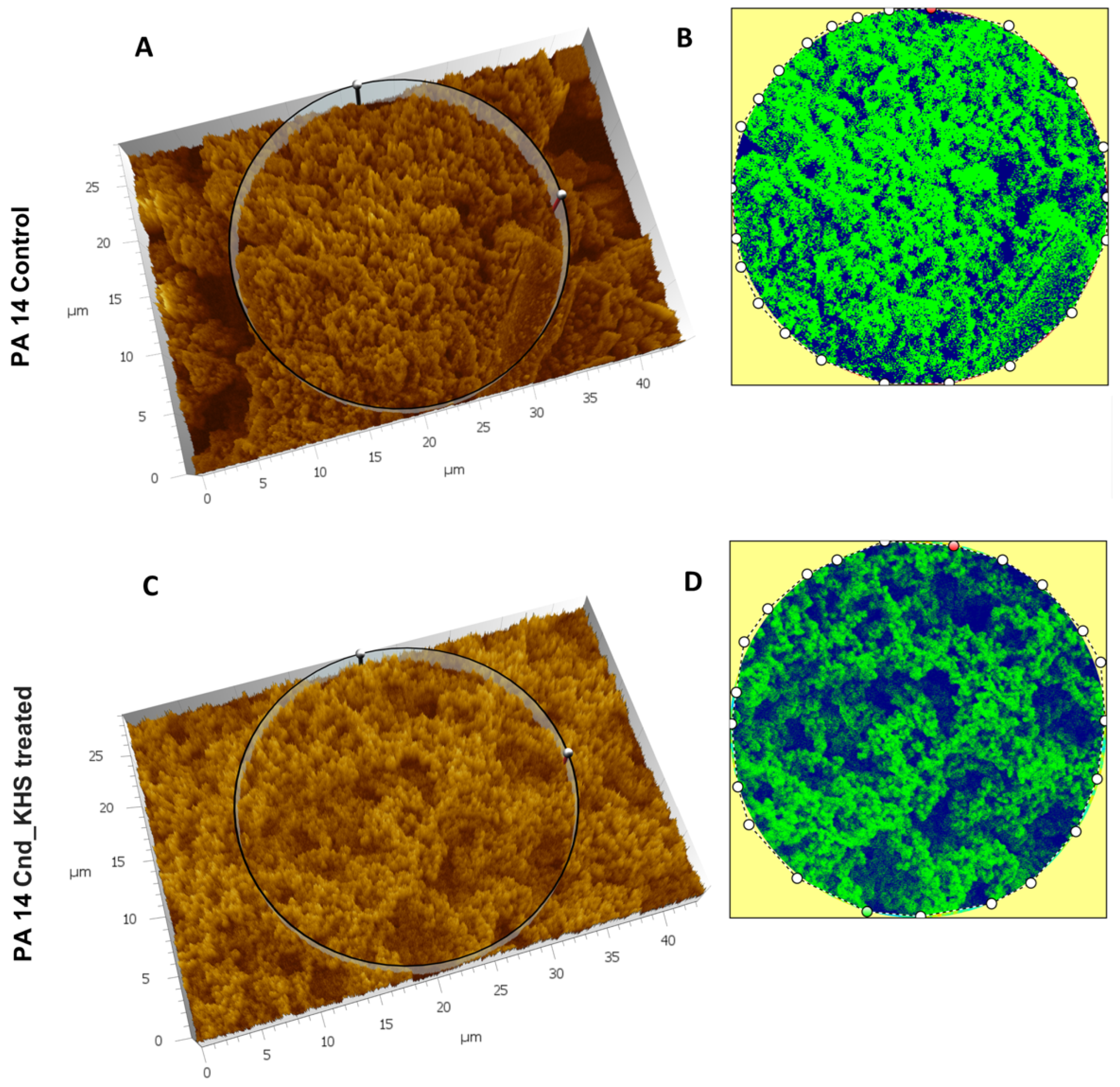 Ijms 23 13494 g003 Ijms 23 13494 g003