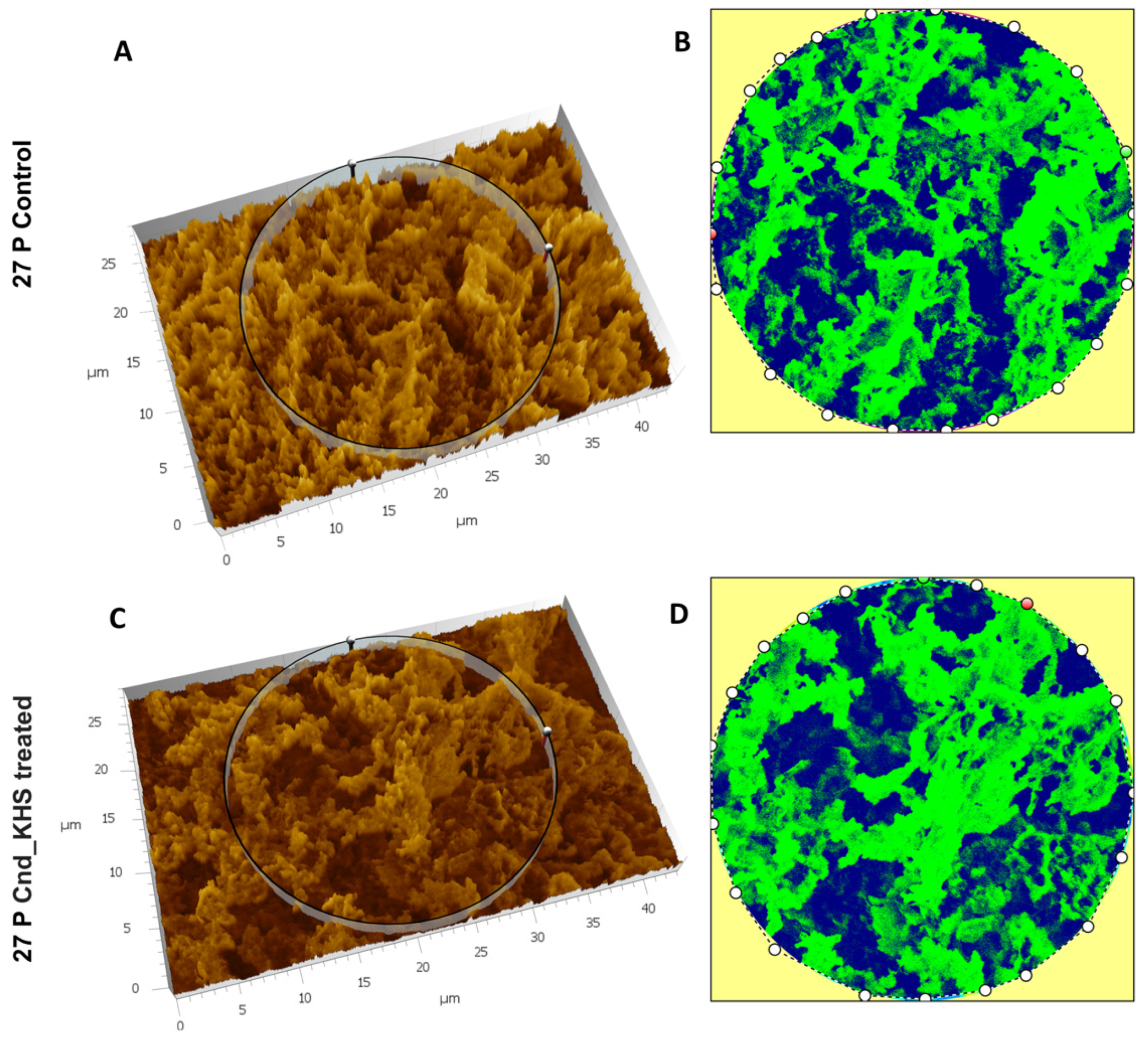 Ijms 23 13494 g005 Ijms 23 13494 g005