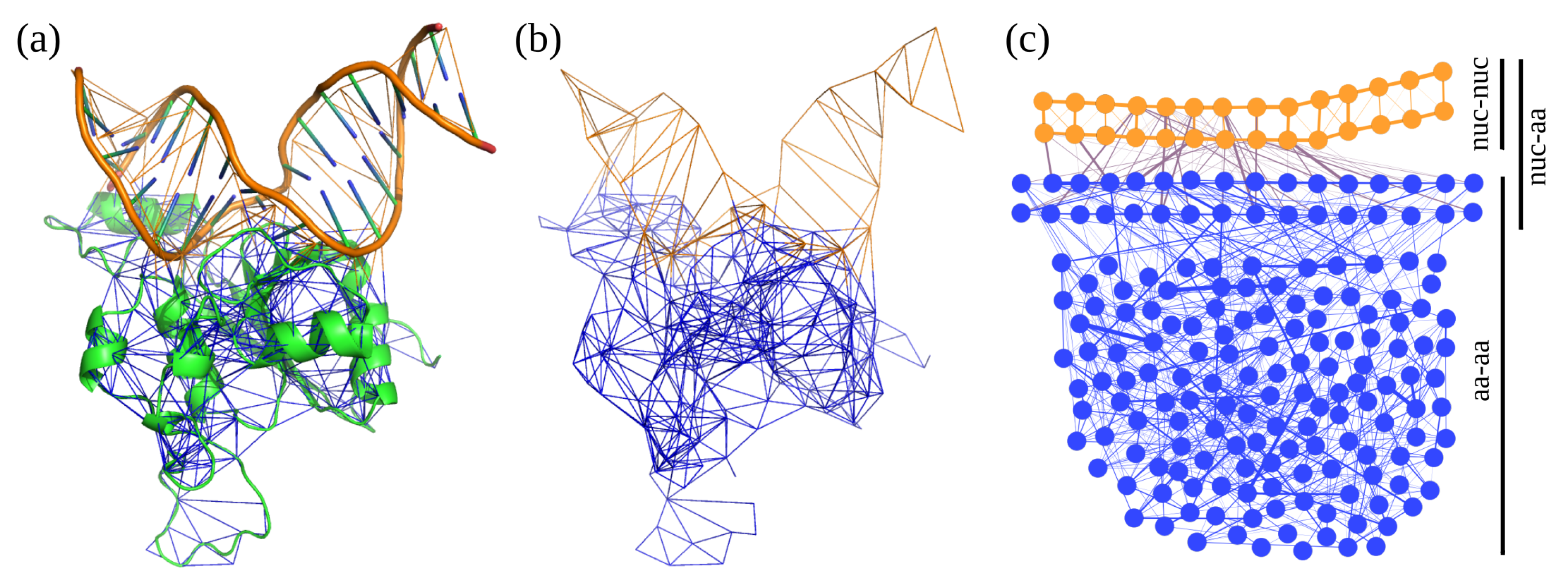 Ijms 23 13514 g006 Ijms 23 13514 g006