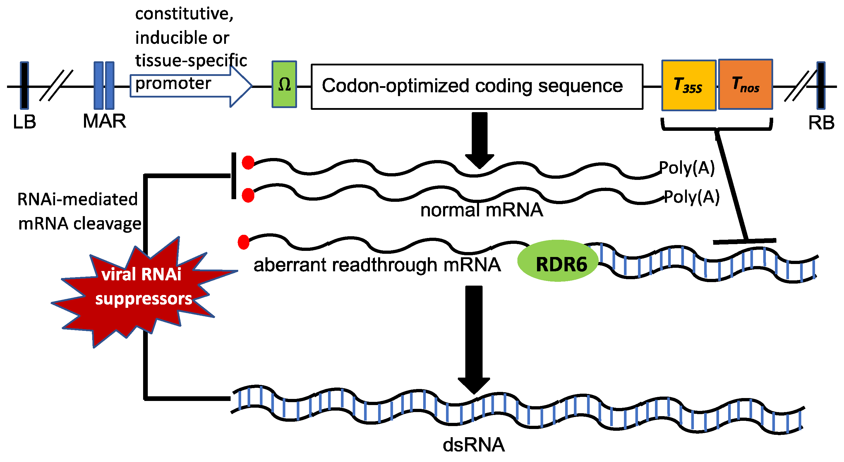 Ijms 23 13516 g002 Ijms 23 13516 g002