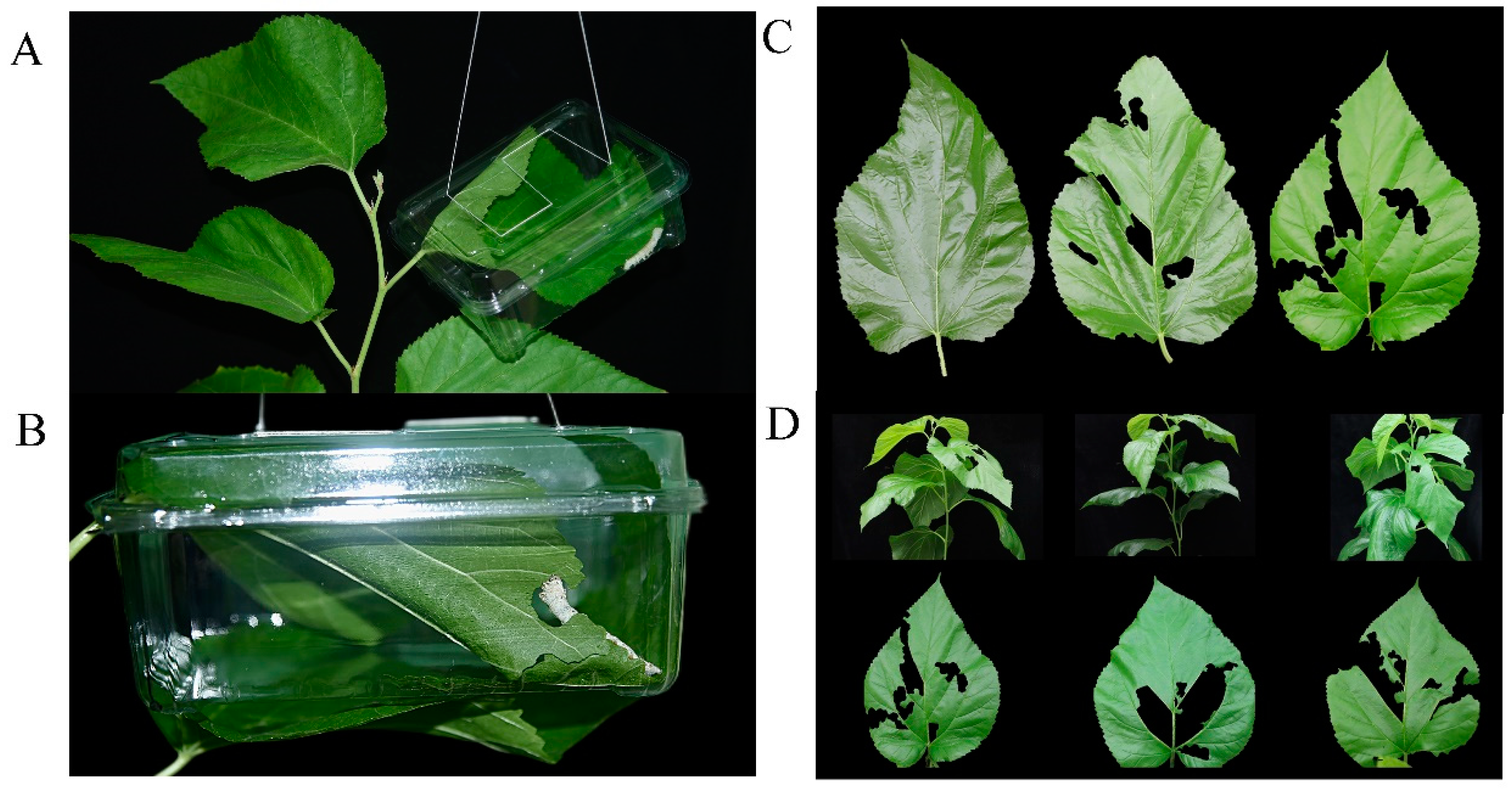 Ijms 23 13519 g001 Ijms 23 13519 g001