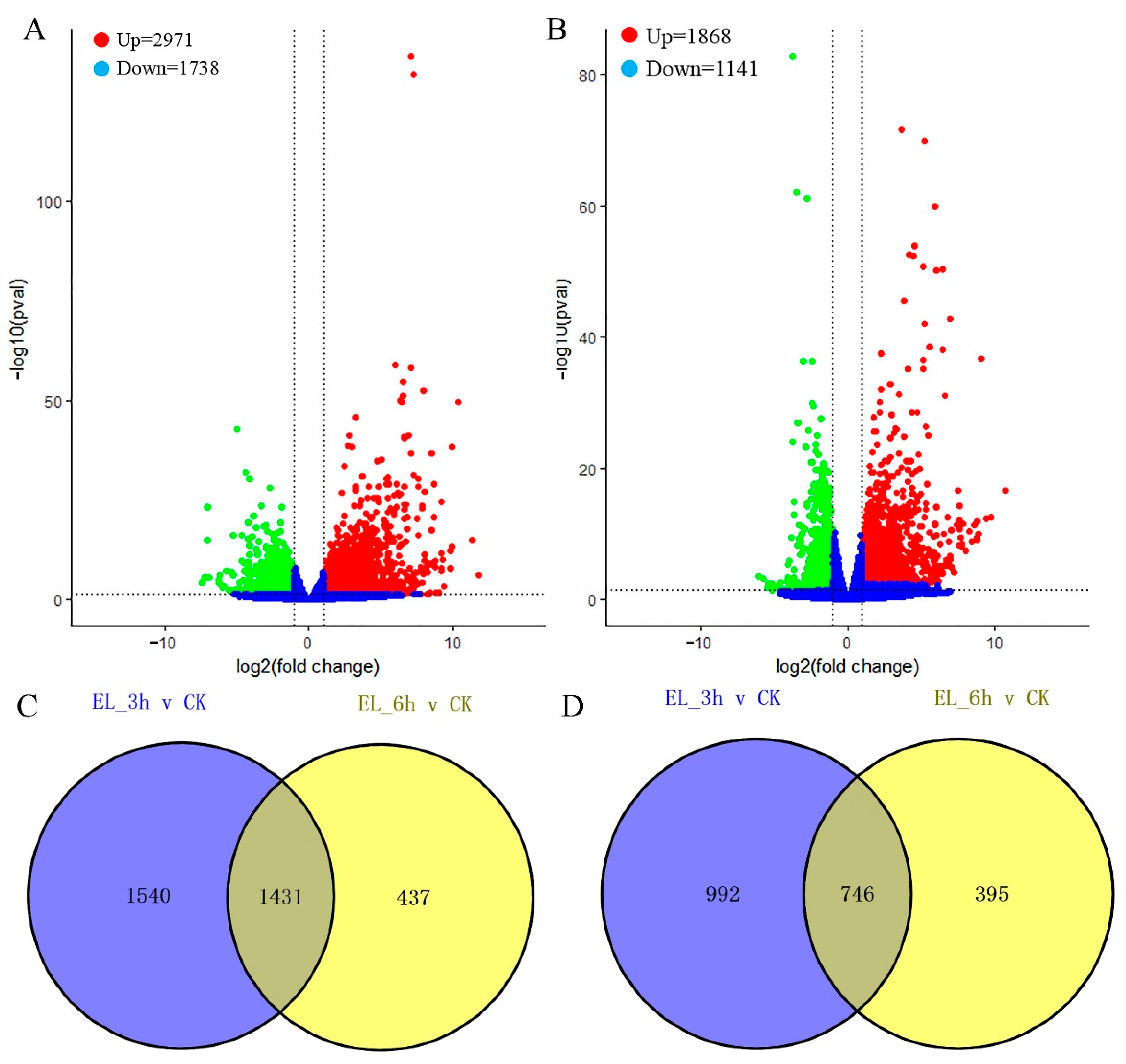 Ijms 23 13519 g002 Ijms 23 13519 g002