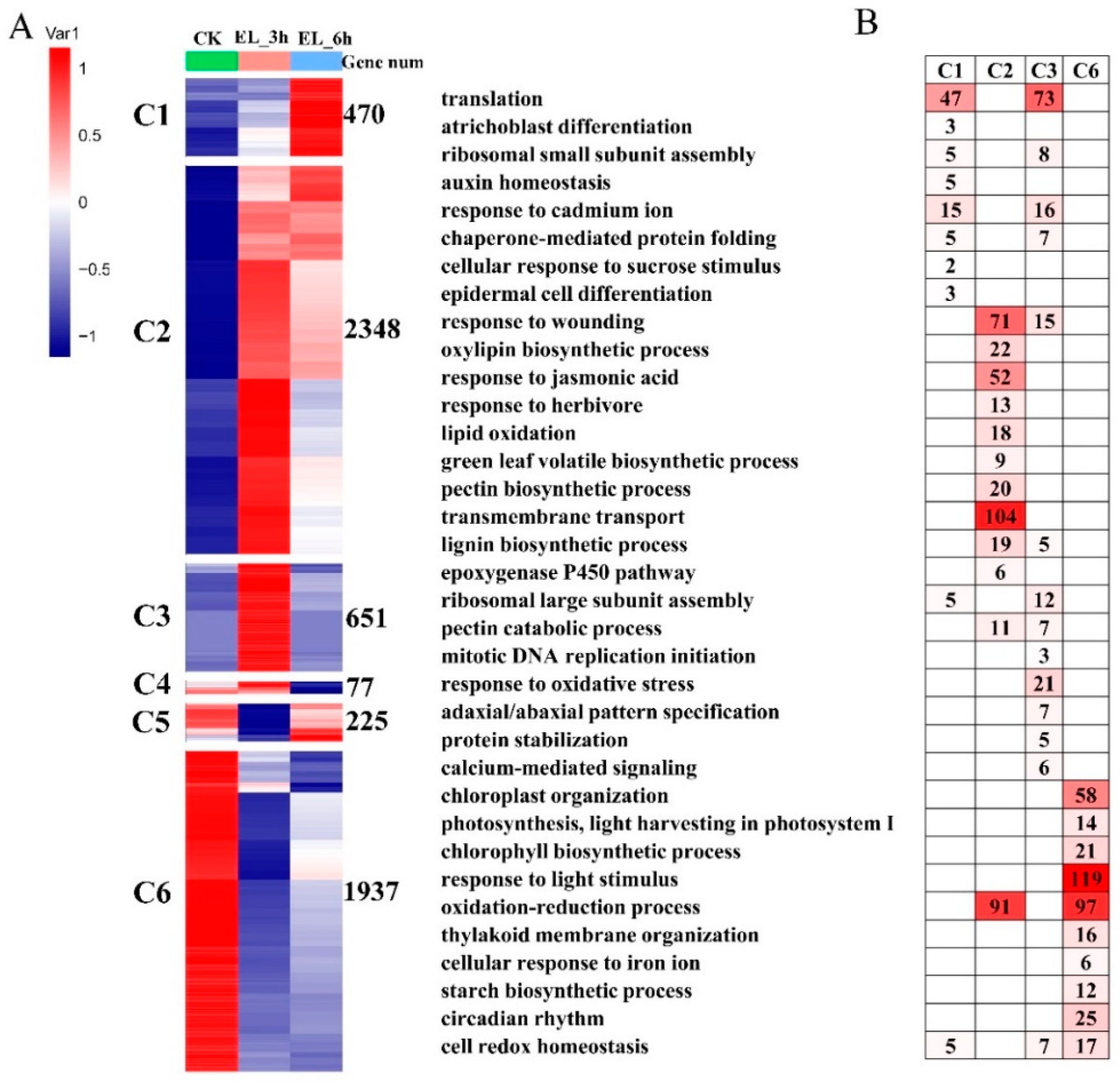 Ijms 23 13519 g003 Ijms 23 13519 g003