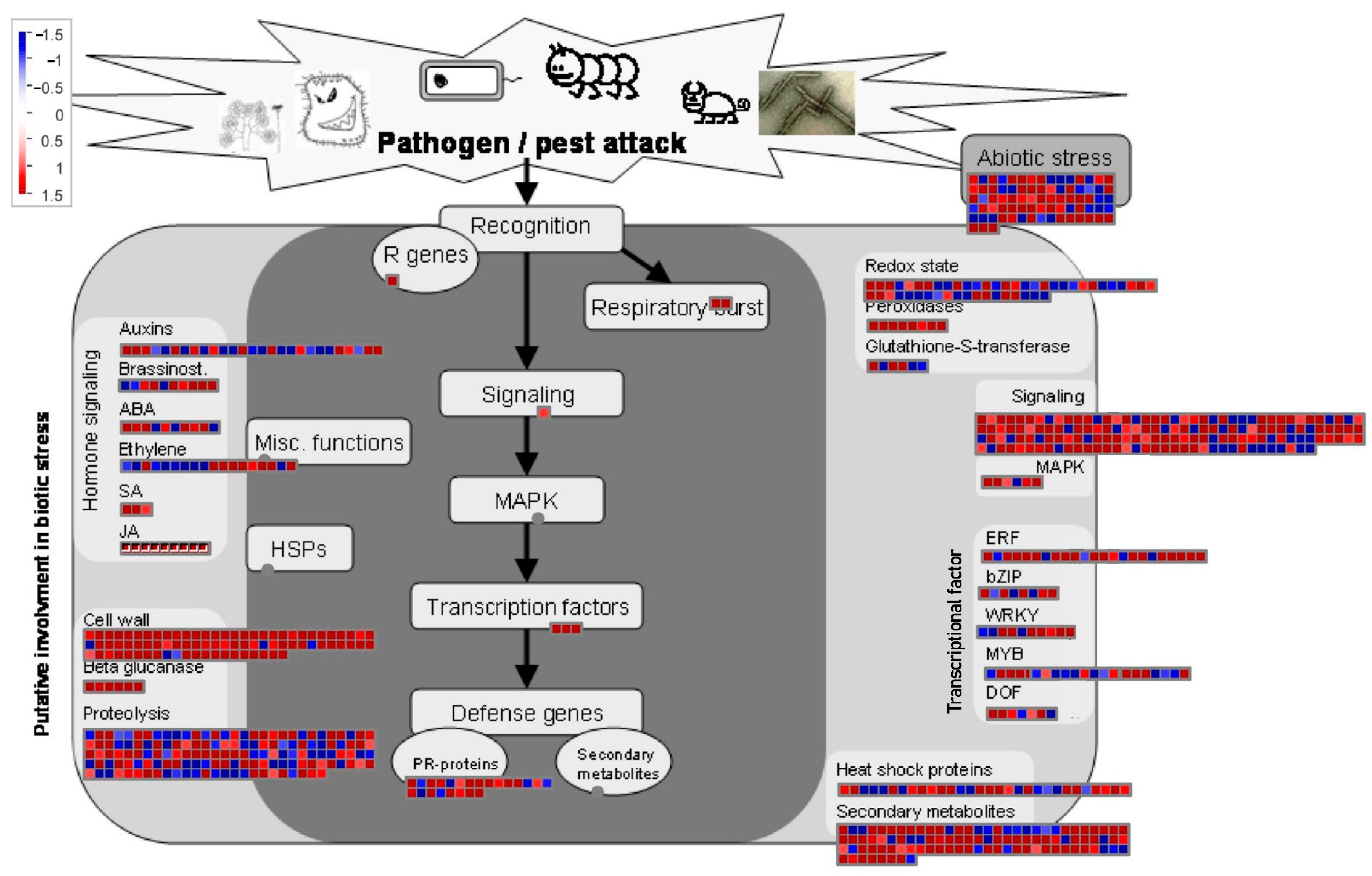 Ijms 23 13519 g004 Ijms 23 13519 g004