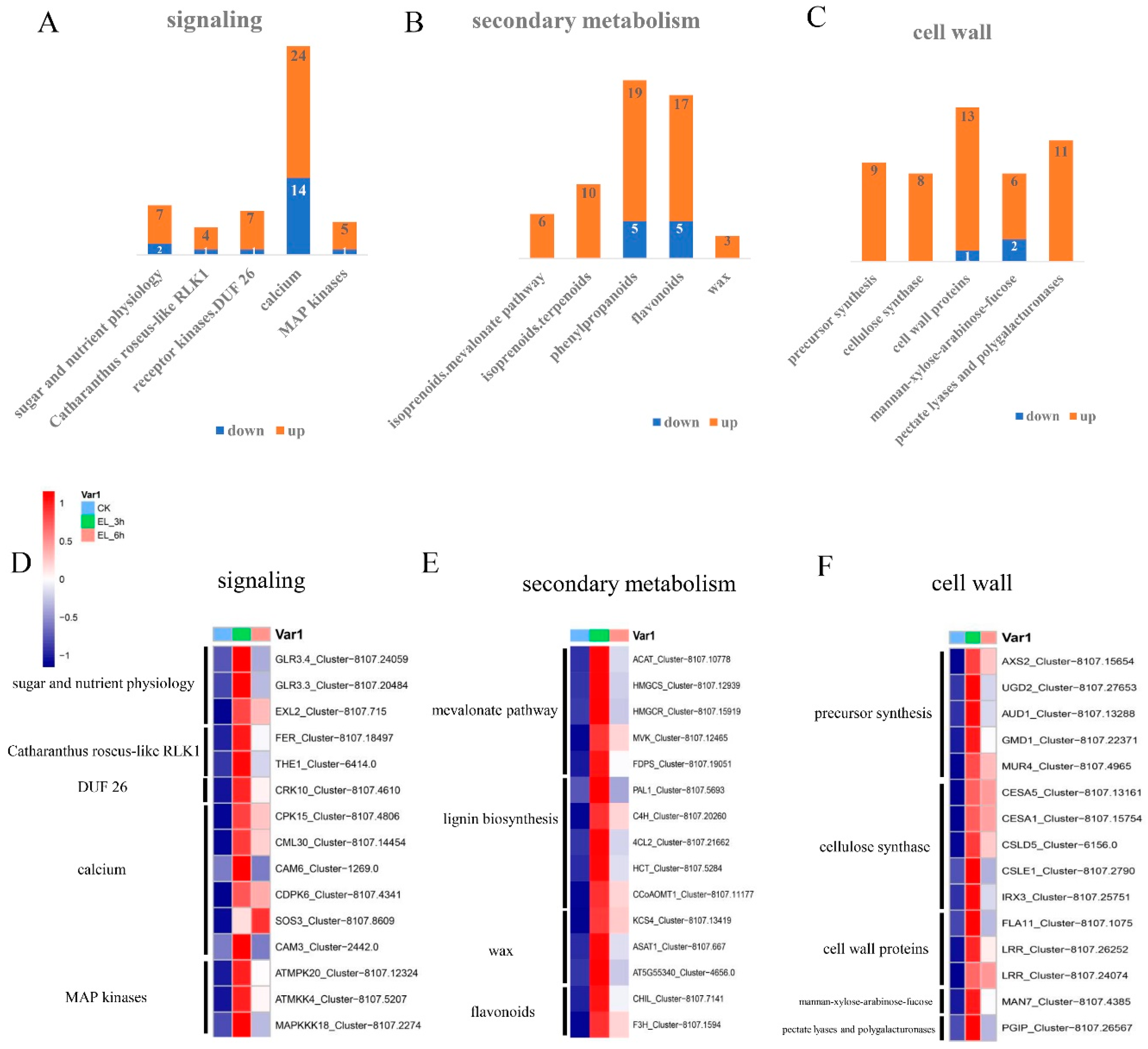 Ijms 23 13519 g005 Ijms 23 13519 g005