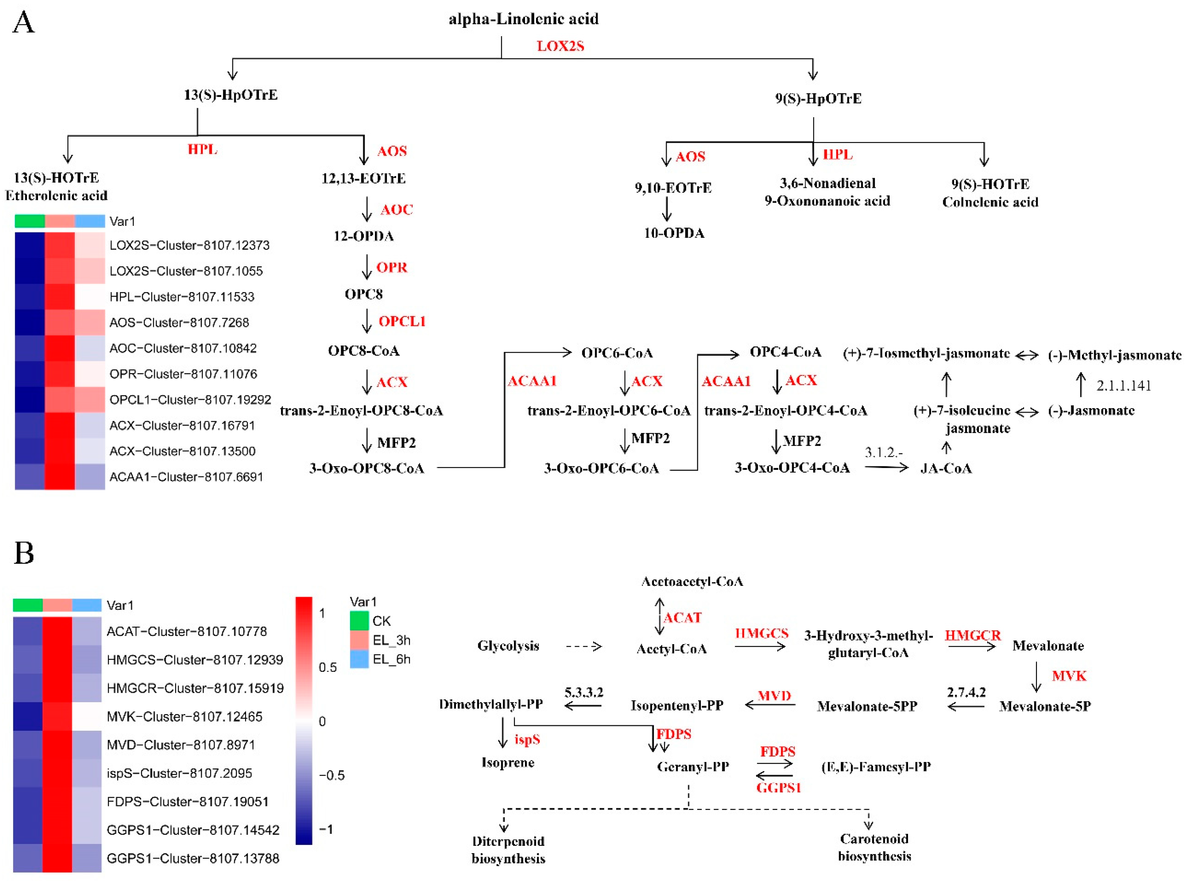 Ijms 23 13519 g006 Ijms 23 13519 g006
