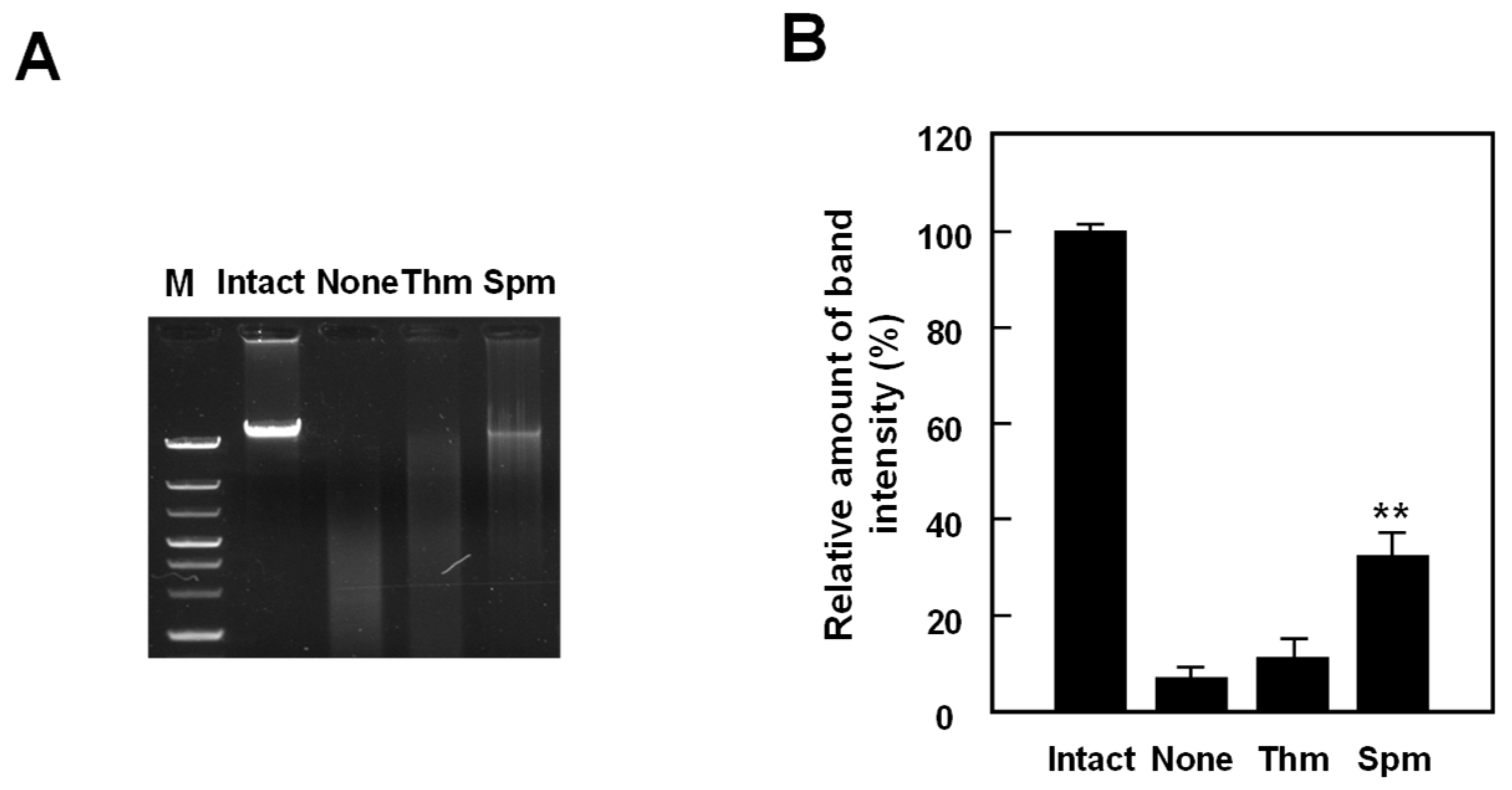 Ijms 23 13523 g003 Ijms 23 13523 g003