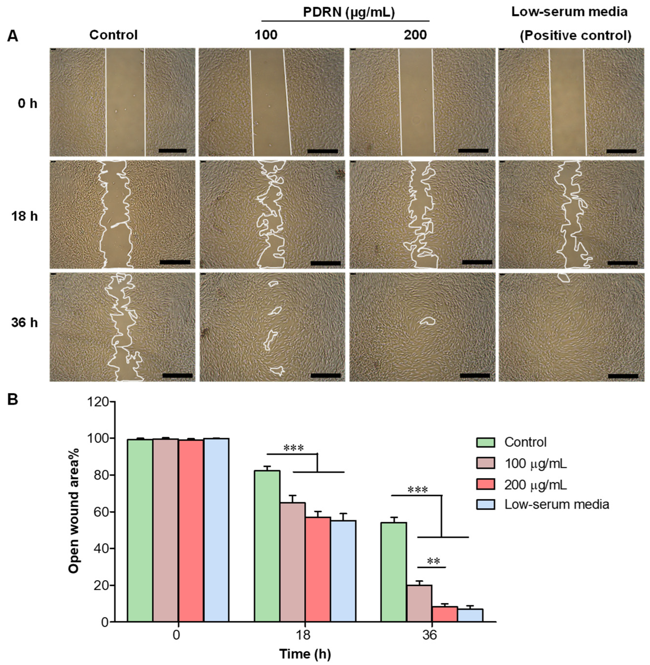 IJMS | Free Full-Text | Effect of Polydeoxyribonucleotide (PDRN) Treatment  on Corneal Wound Healing in Zebrafish (Danio rerio)