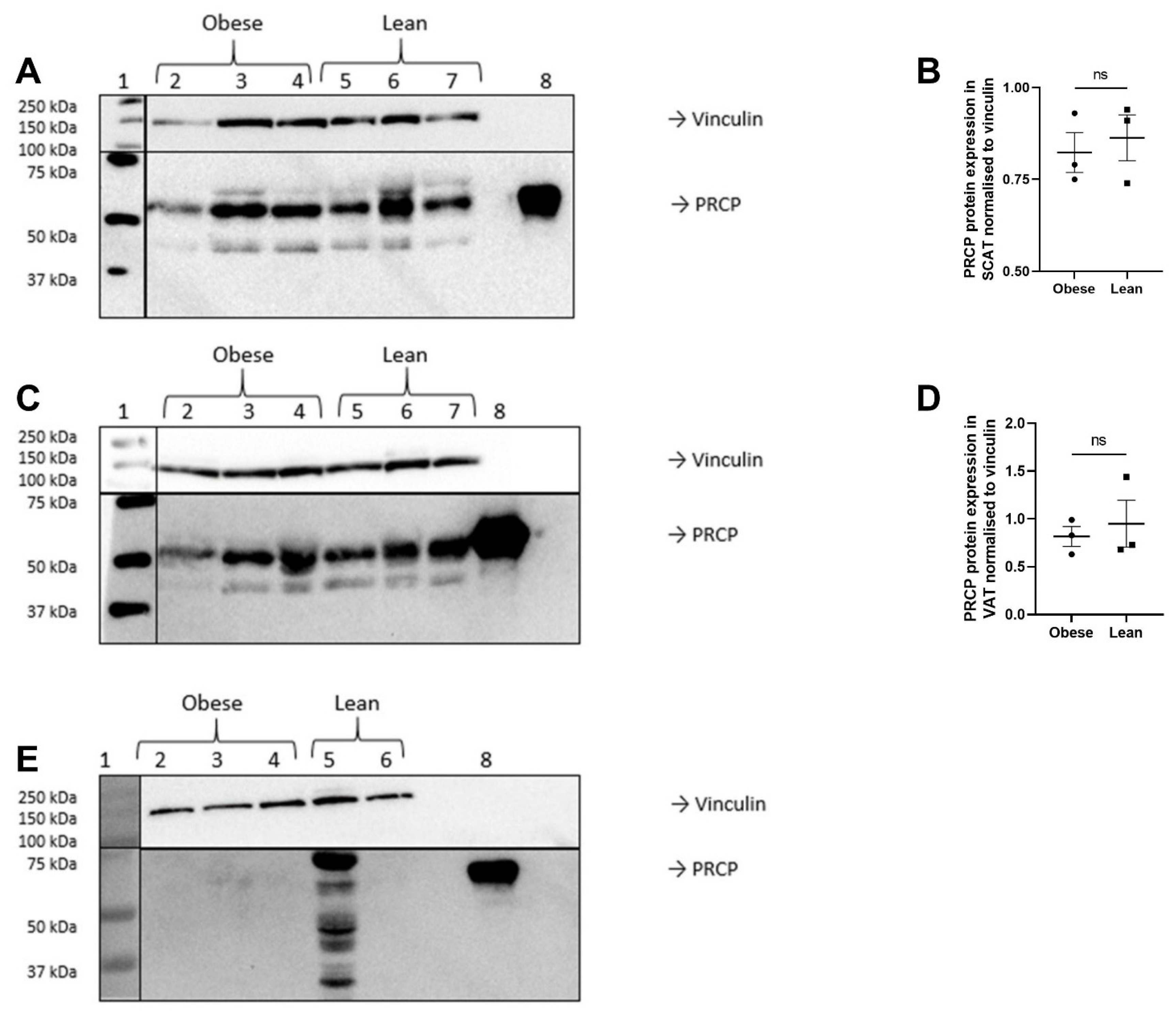 Ijms 23 13529 g003 Ijms 23 13529 g003