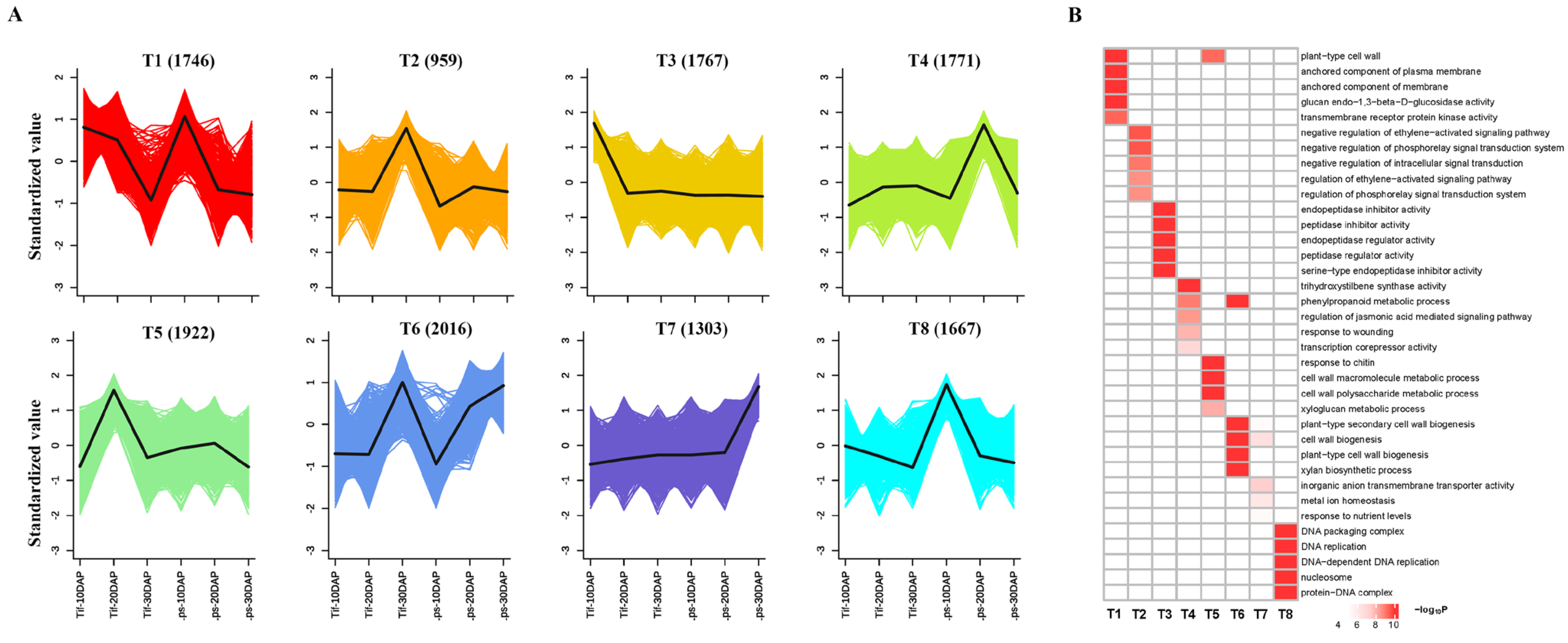 Ijms 23 13533 g004 Ijms 23 13533 g004