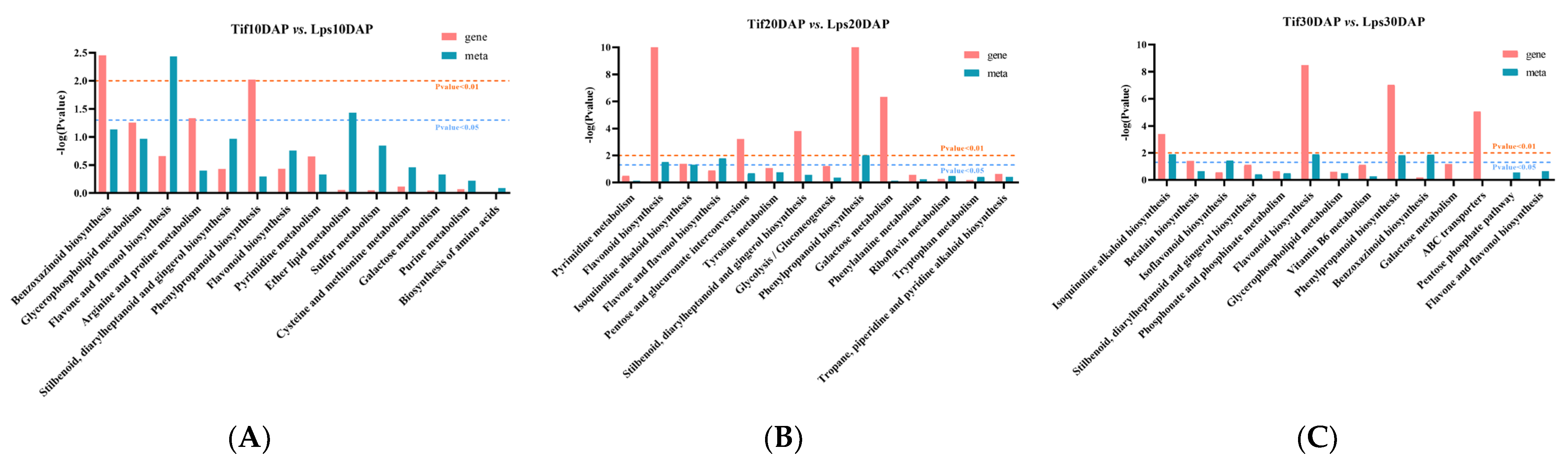 Ijms 23 13533 g005 Ijms 23 13533 g005