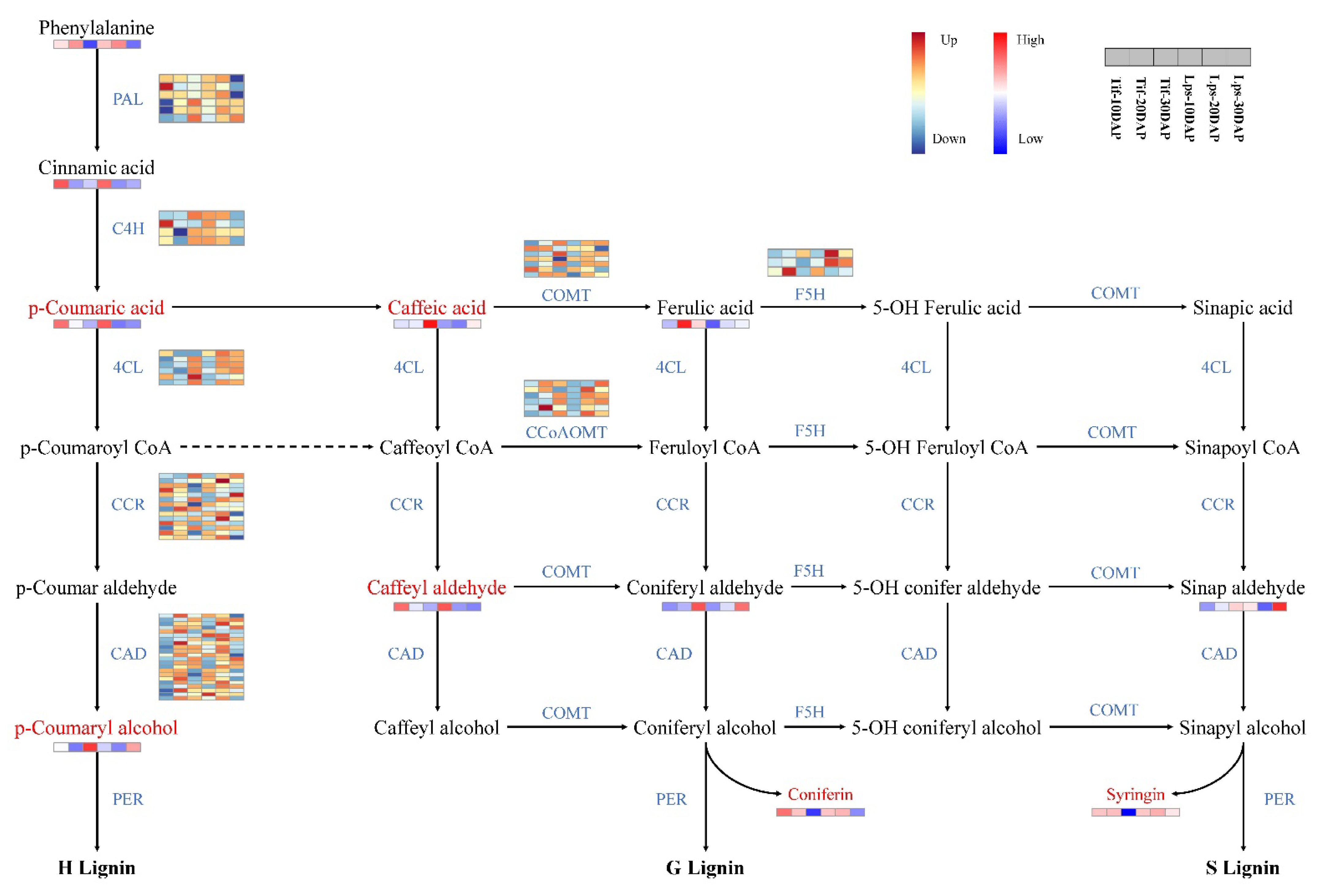 Ijms 23 13533 g006 Ijms 23 13533 g006