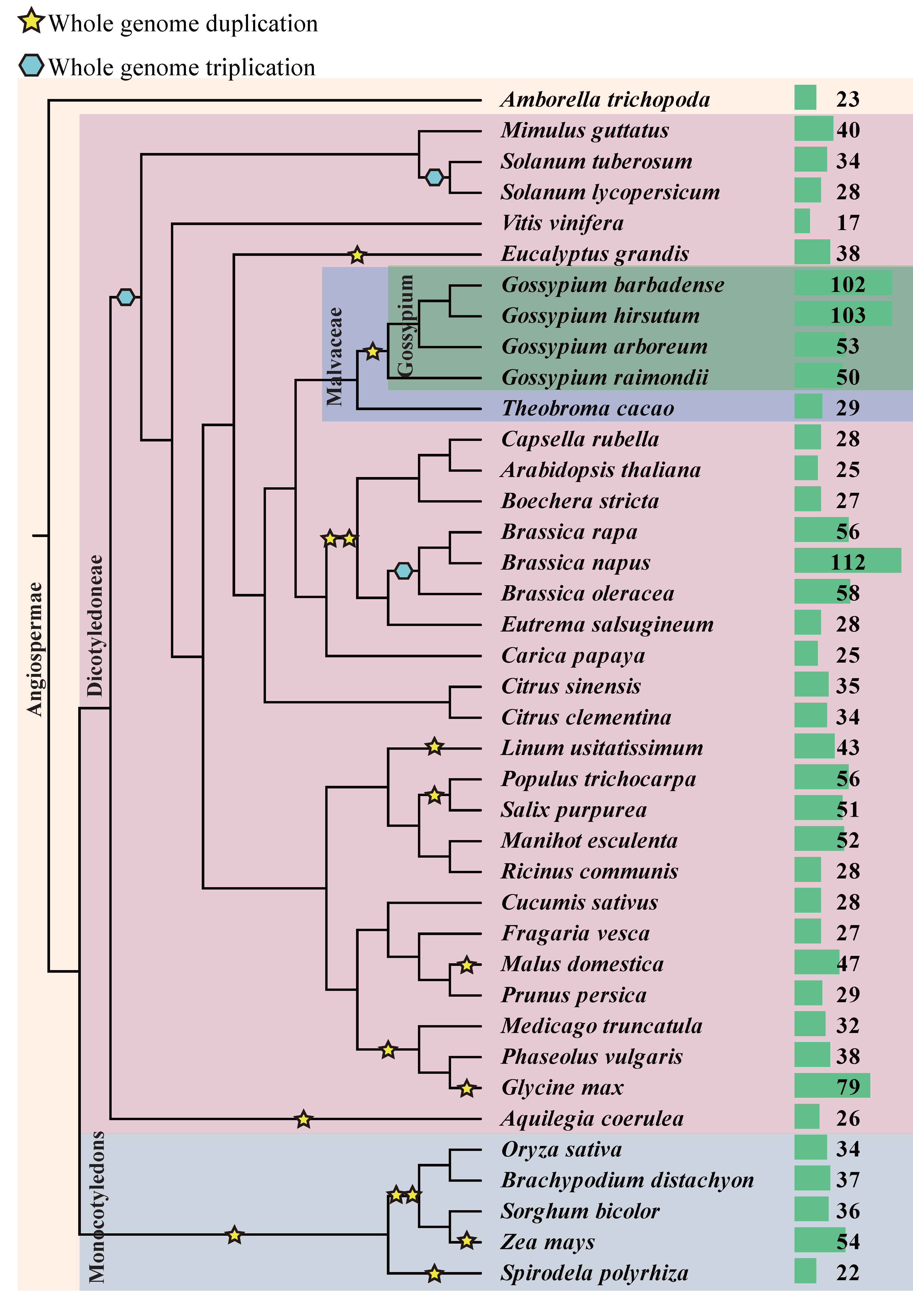 Ijms 23 13542 g004 Ijms 23 13542 g004