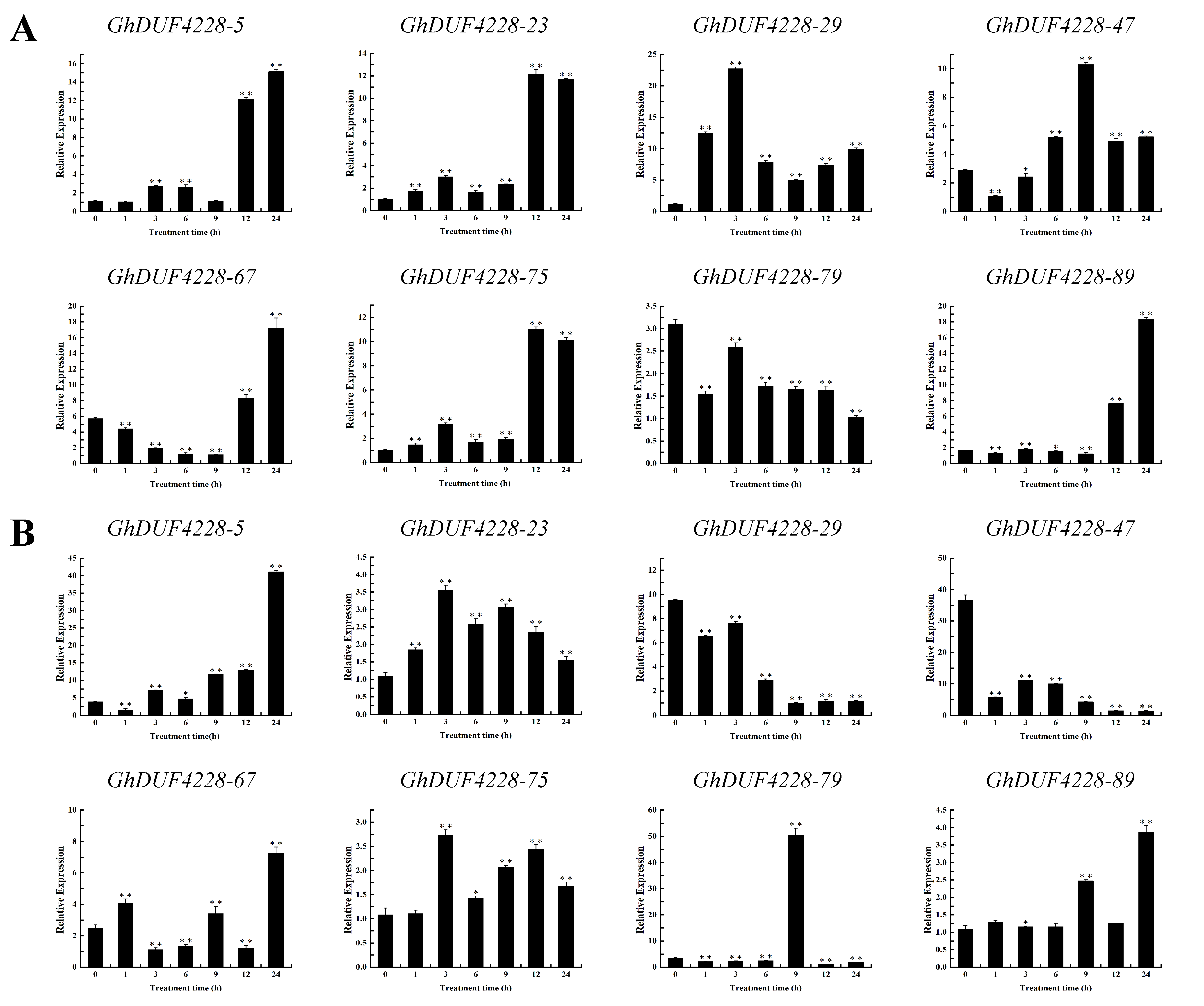 Ijms 23 13542 g006 Ijms 23 13542 g006