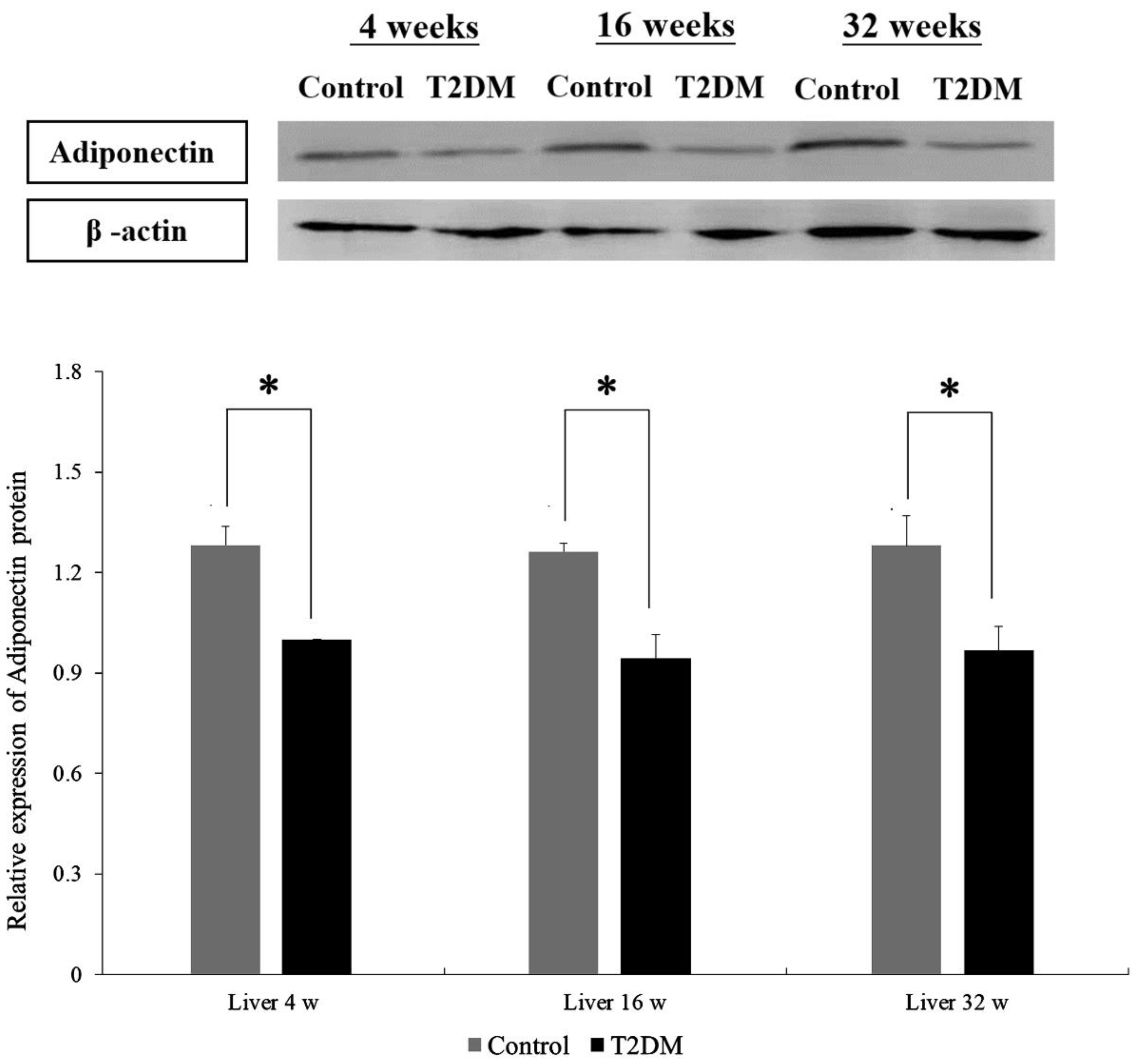 Ijms 23 13544 g001 Ijms 23 13544 g001