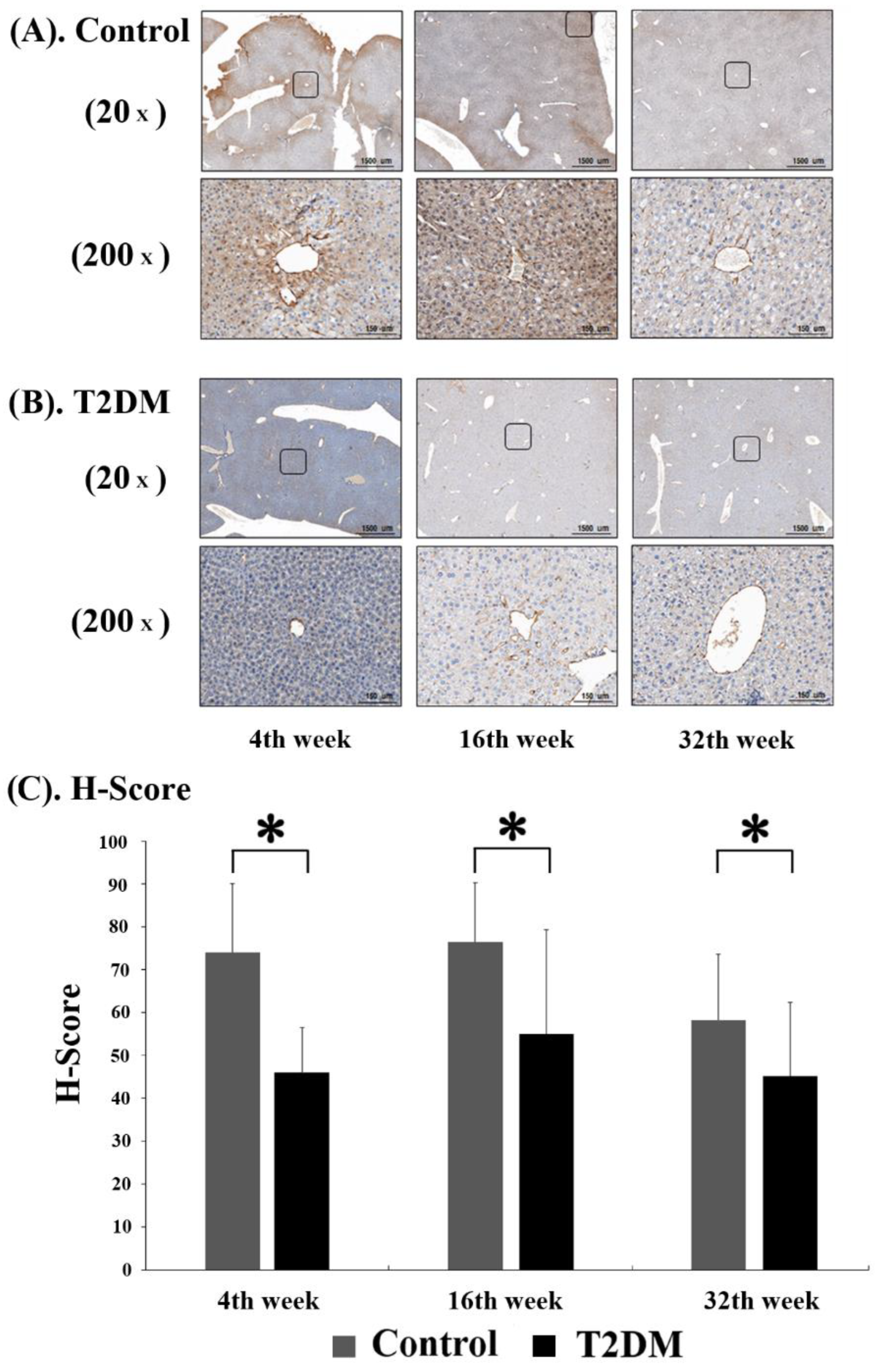 Ijms 23 13544 g002 Ijms 23 13544 g002