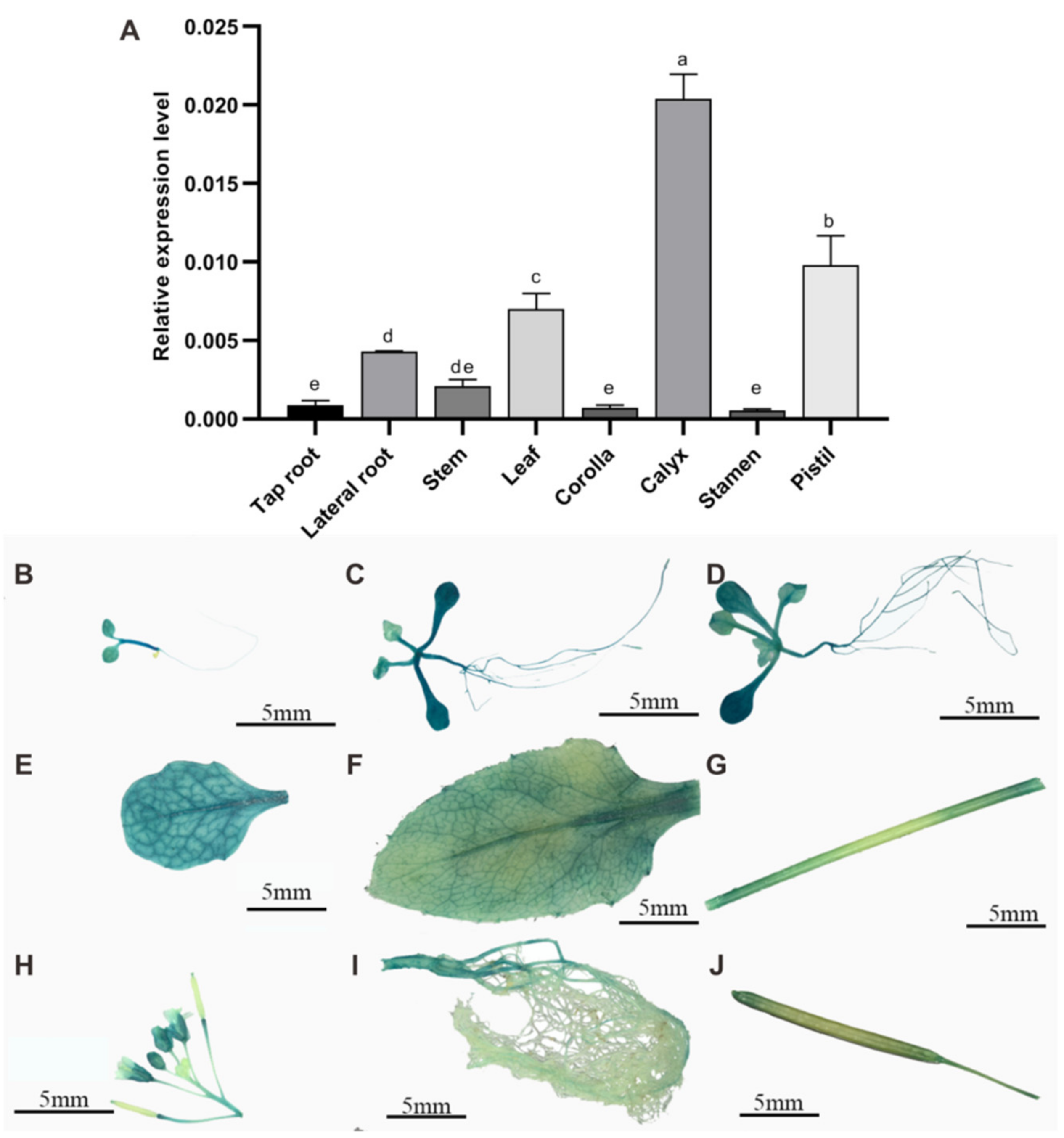 Ijms 23 13549 g001 Ijms 23 13549 g001