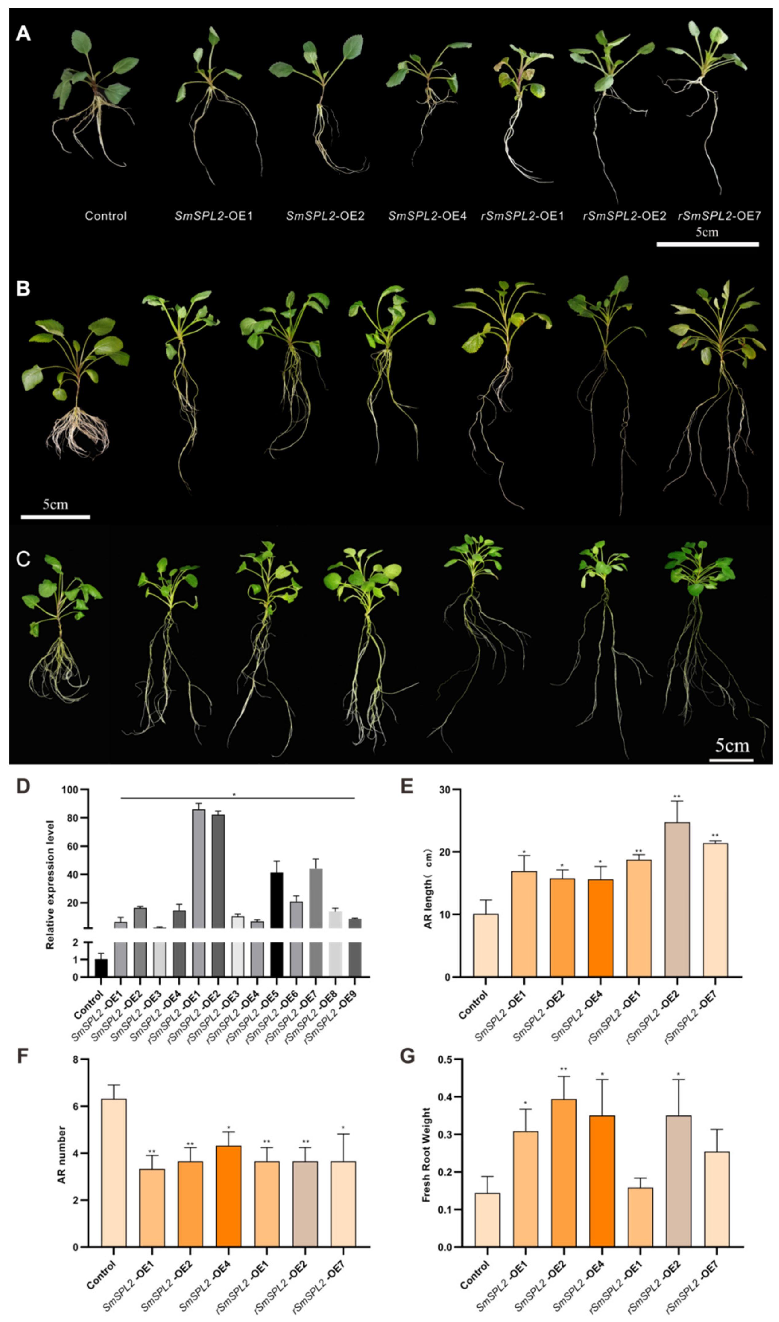 Ijms 23 13549 g003 Ijms 23 13549 g003