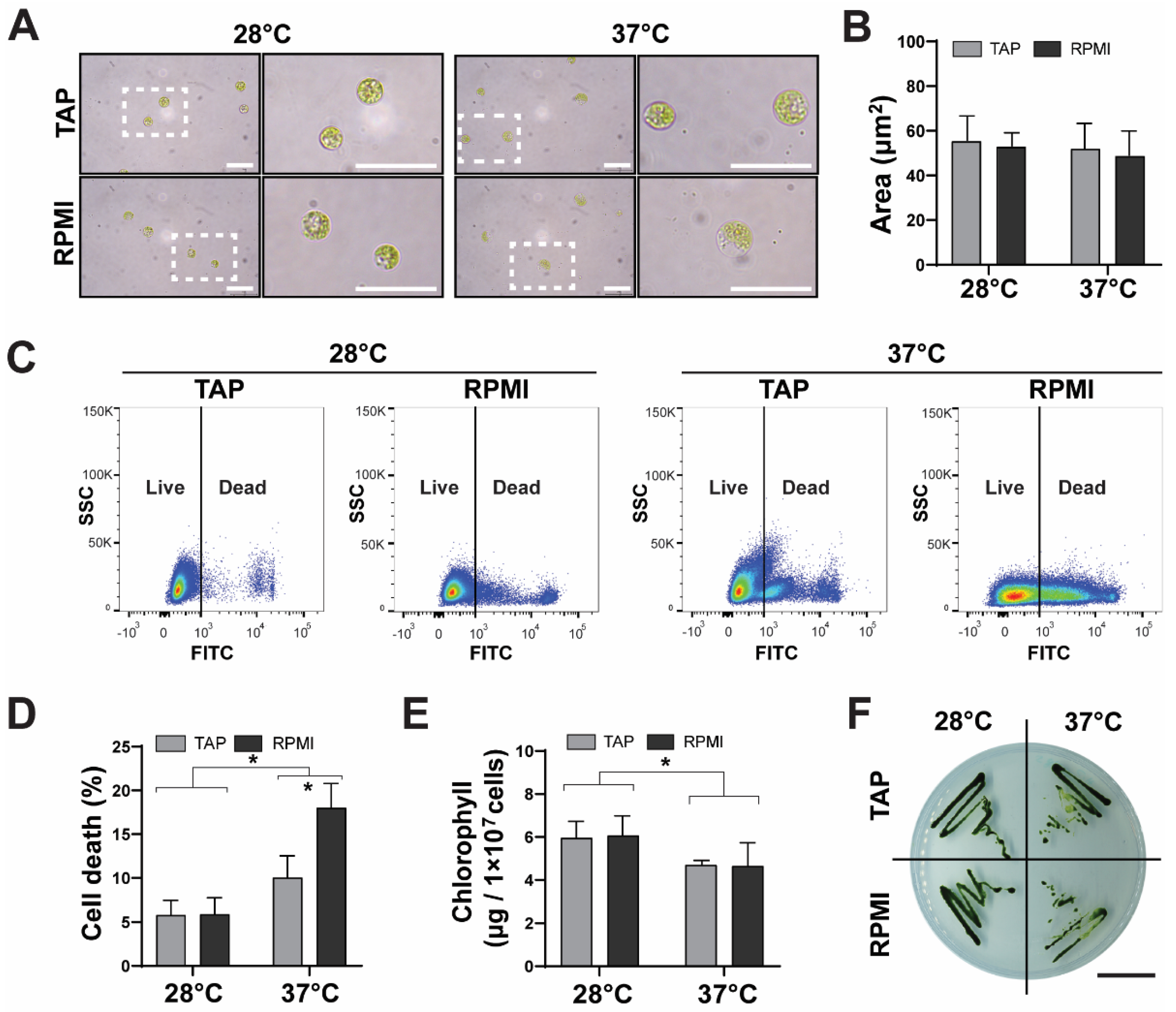 Ijms 23 13550 g001 Ijms 23 13550 g001