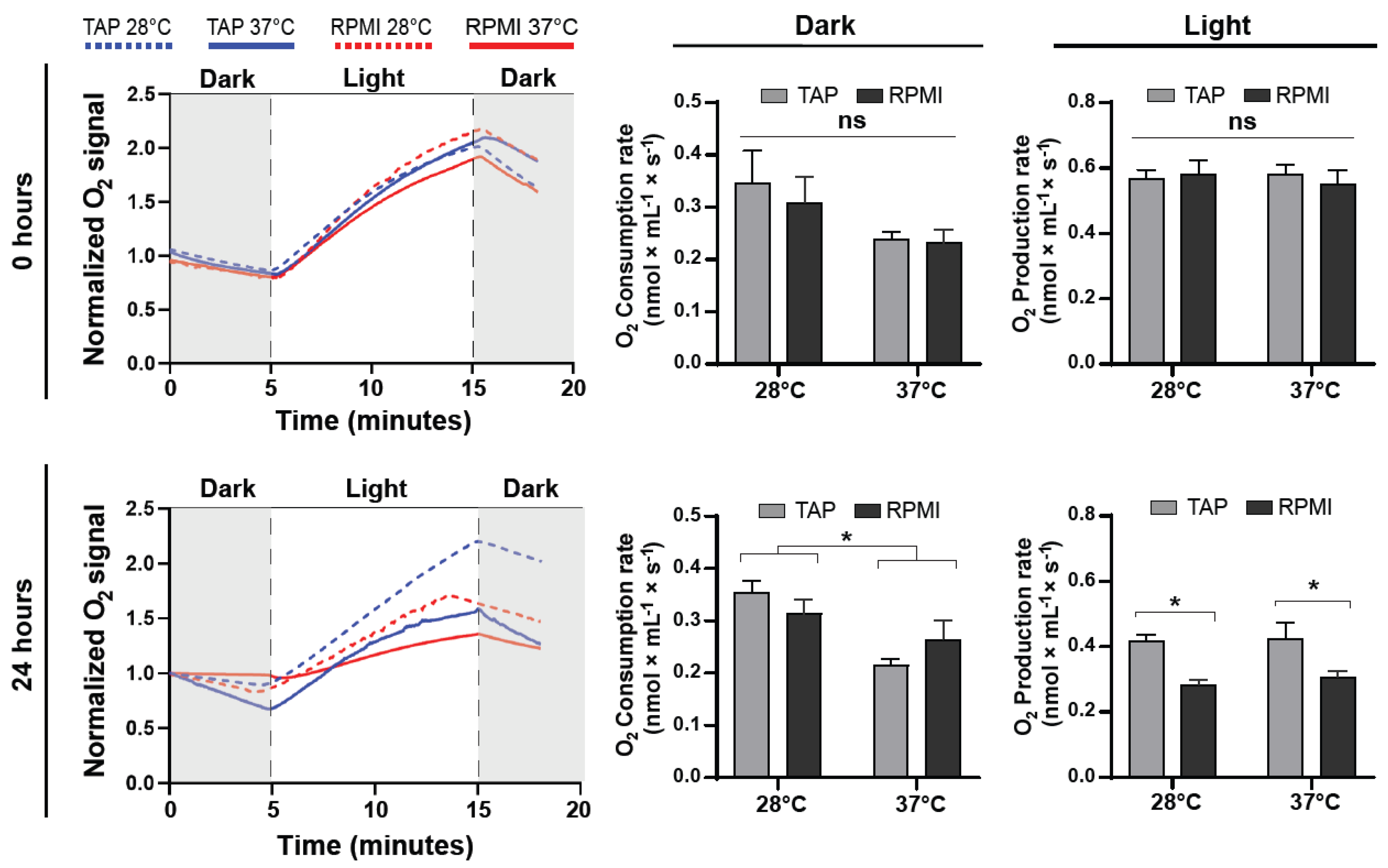Ijms 23 13550 g002 Ijms 23 13550 g002