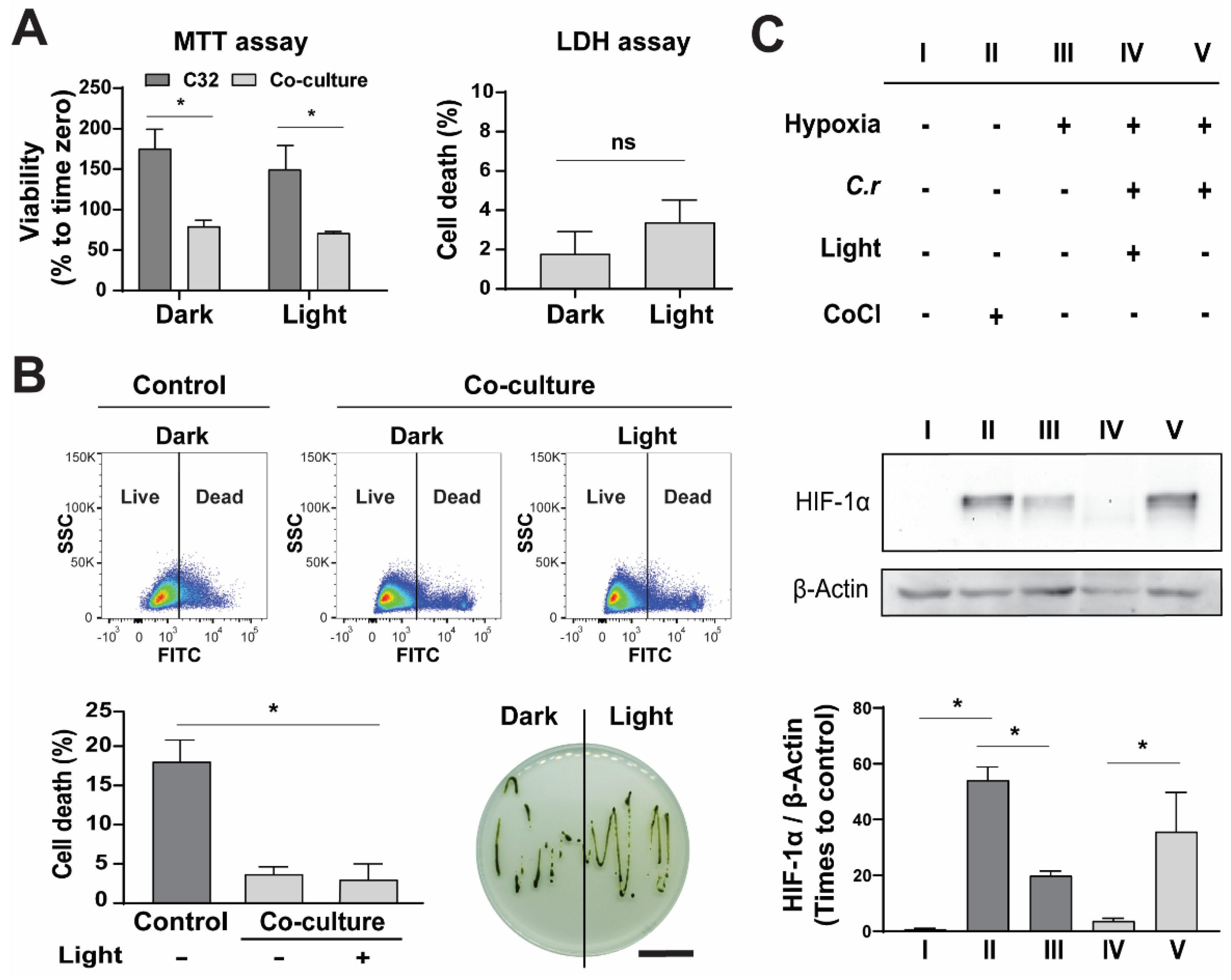 Ijms 23 13550 g004 Ijms 23 13550 g004
