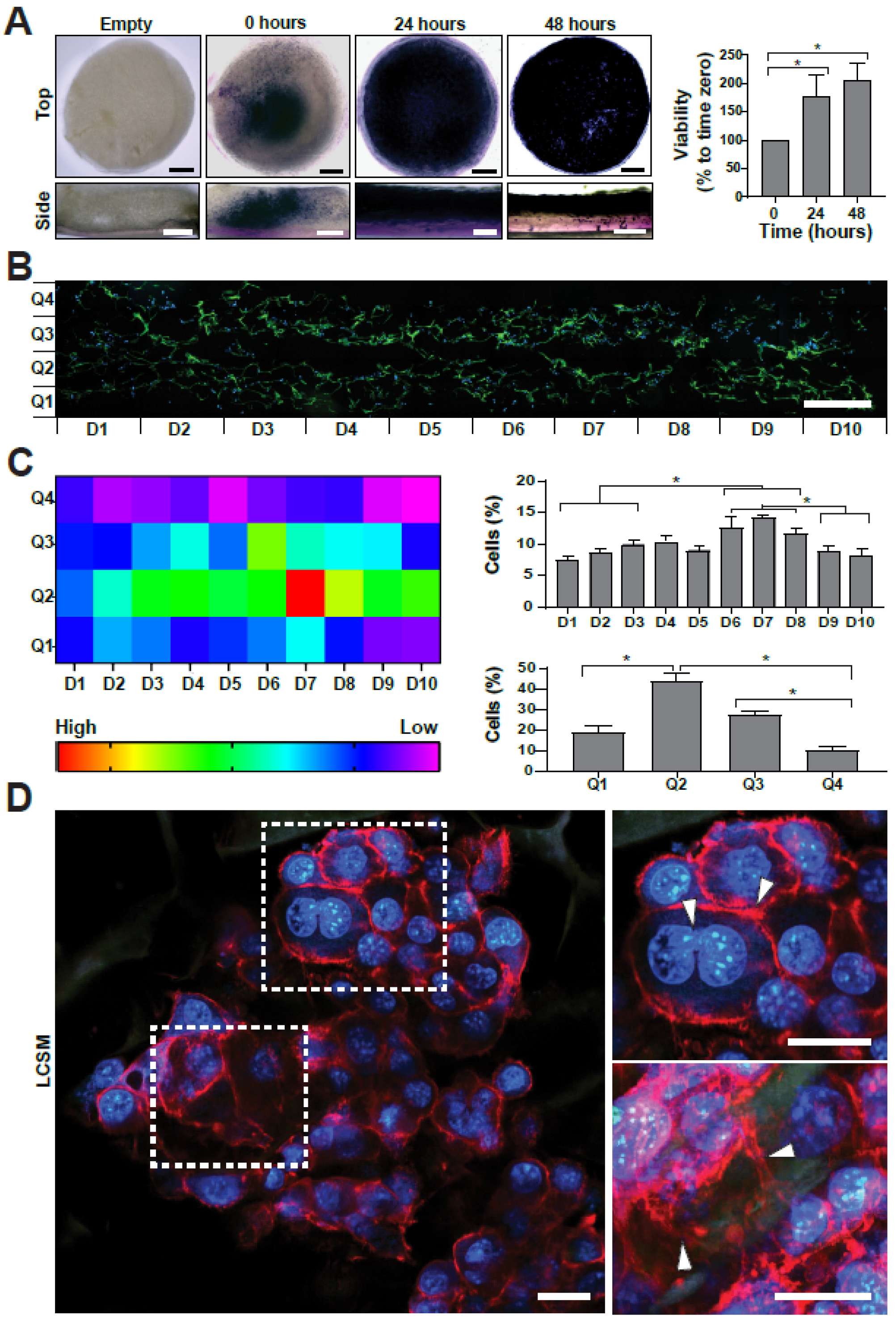 Ijms 23 13550 g005 Ijms 23 13550 g005