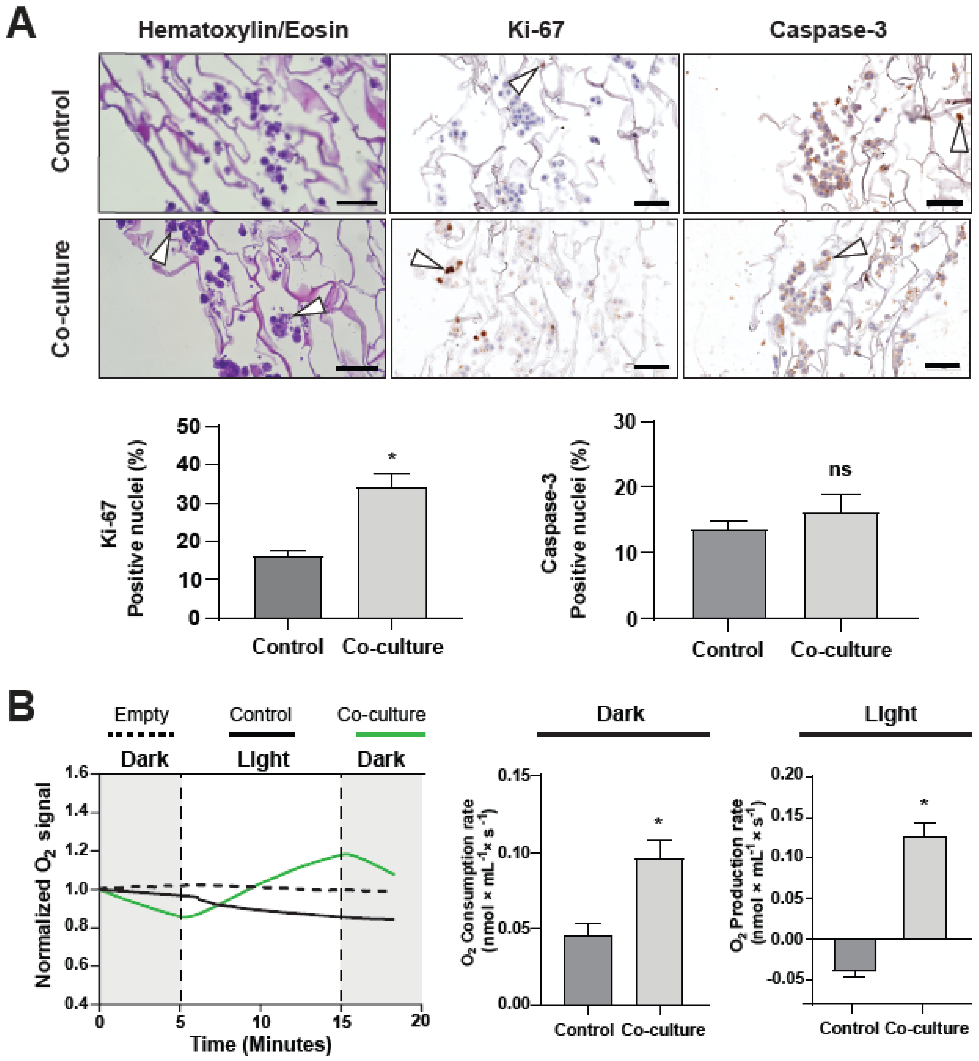 Ijms 23 13550 g007 Ijms 23 13550 g007