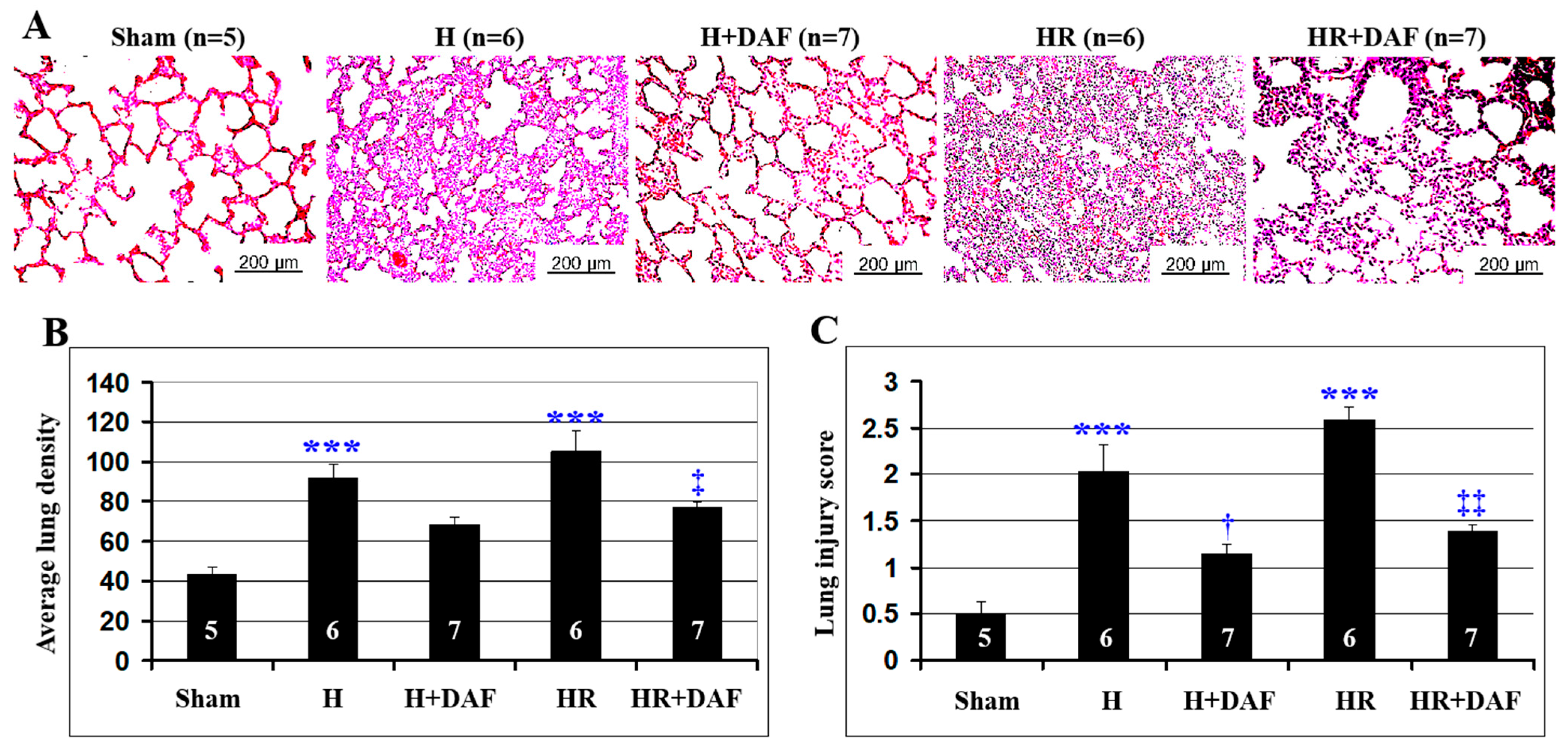 Ijms 23 13563 g002 Ijms 23 13563 g002
