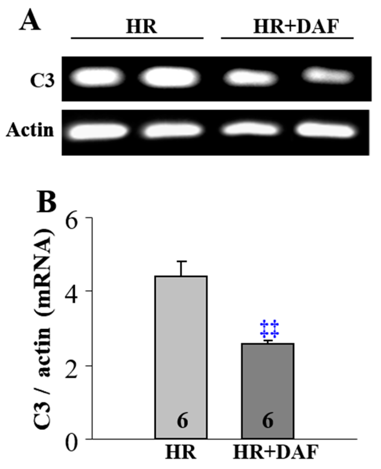Ijms 23 13563 g004 Ijms 23 13563 g004
