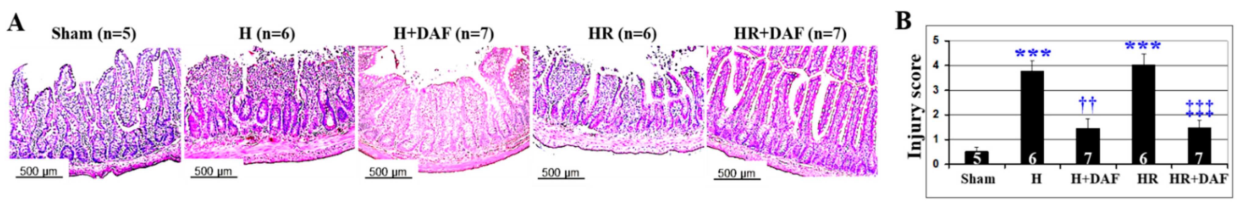 Ijms 23 13563 g006 Ijms 23 13563 g006