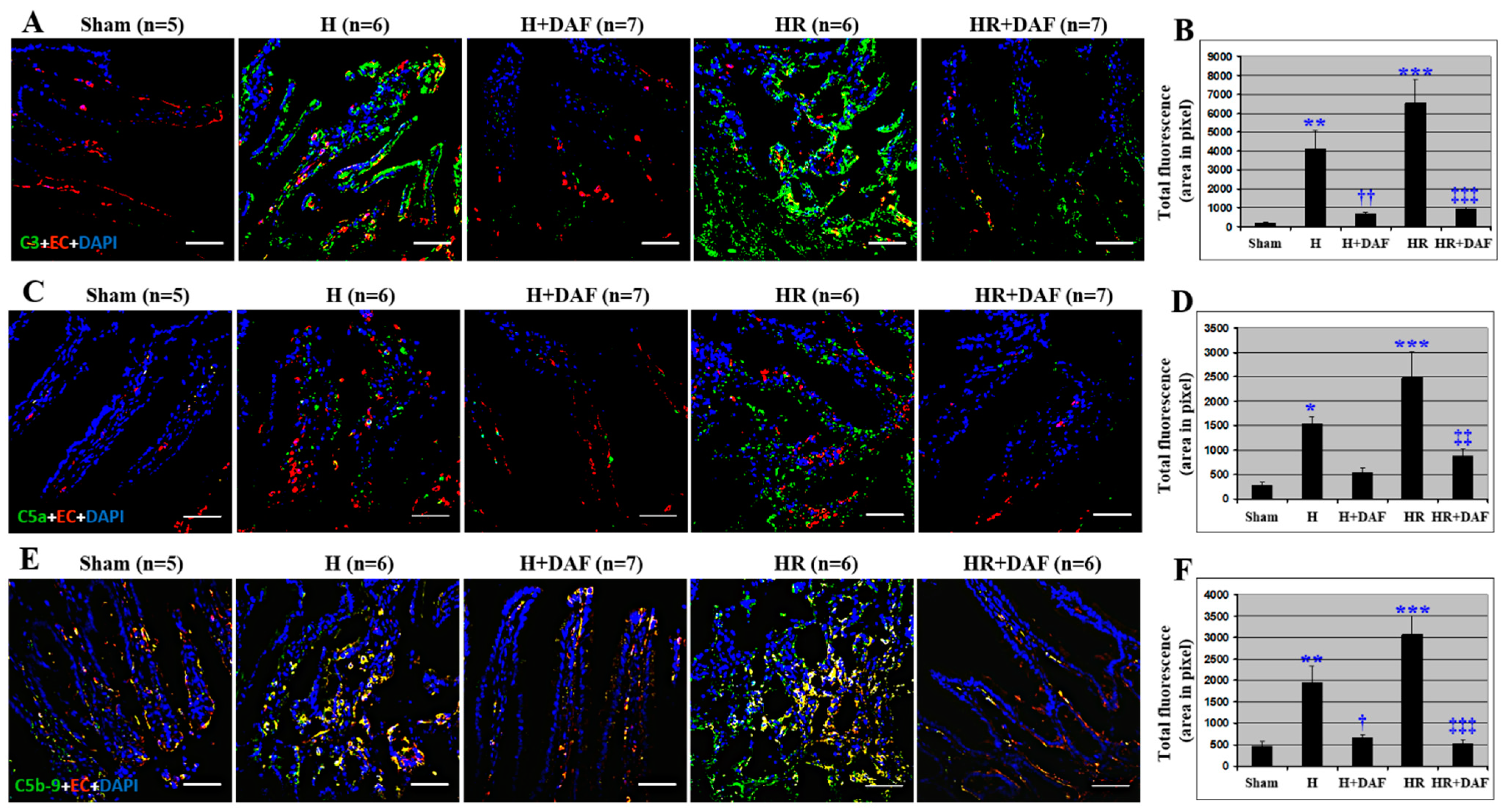 Ijms 23 13563 g007 Ijms 23 13563 g007