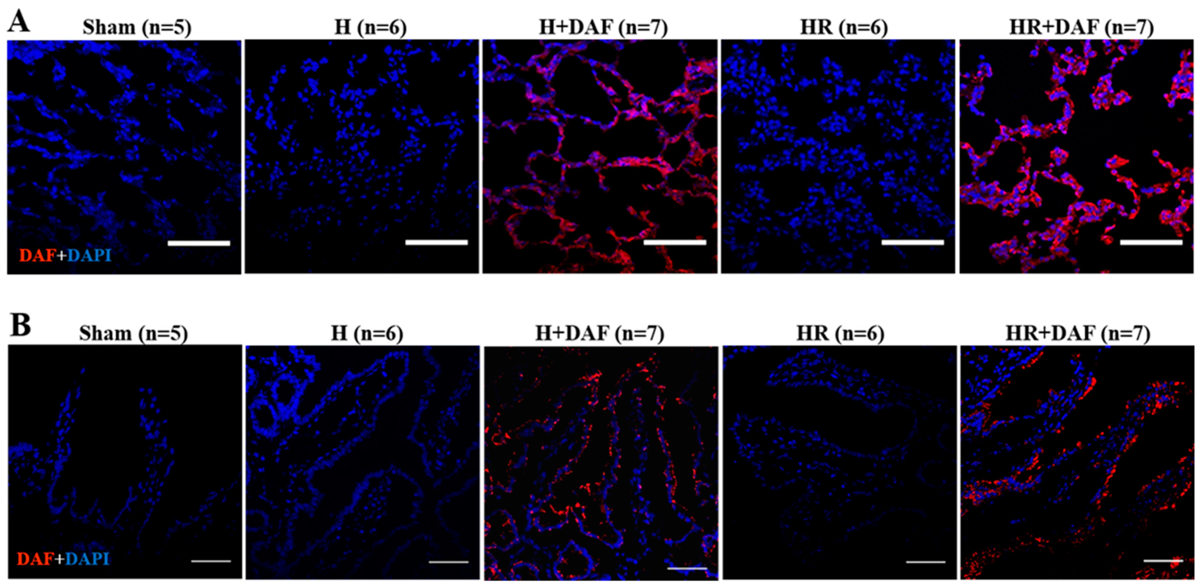 Ijms 23 13563 g008 Ijms 23 13563 g008