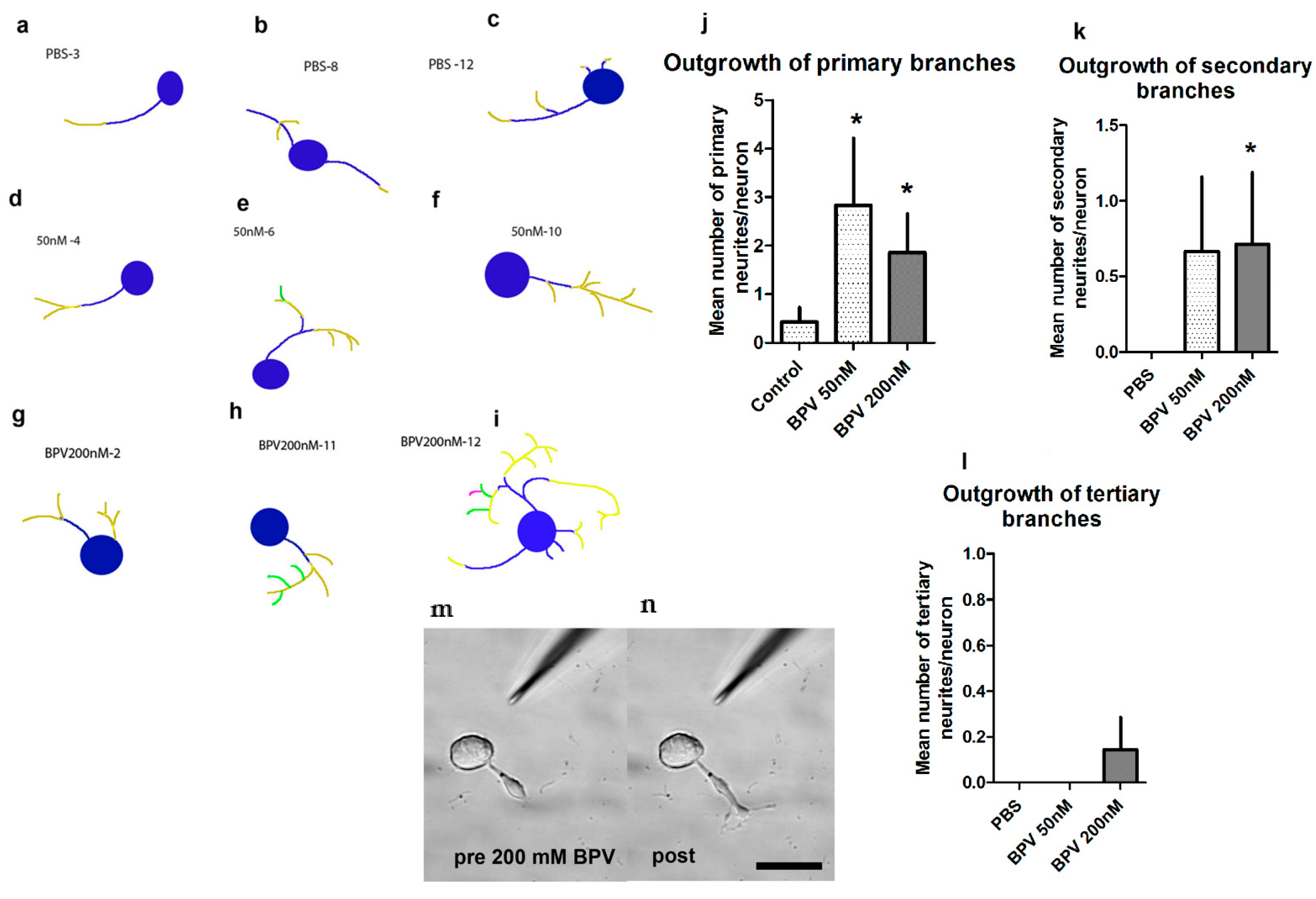 Ijms 23 13566 g004 Ijms 23 13566 g004
