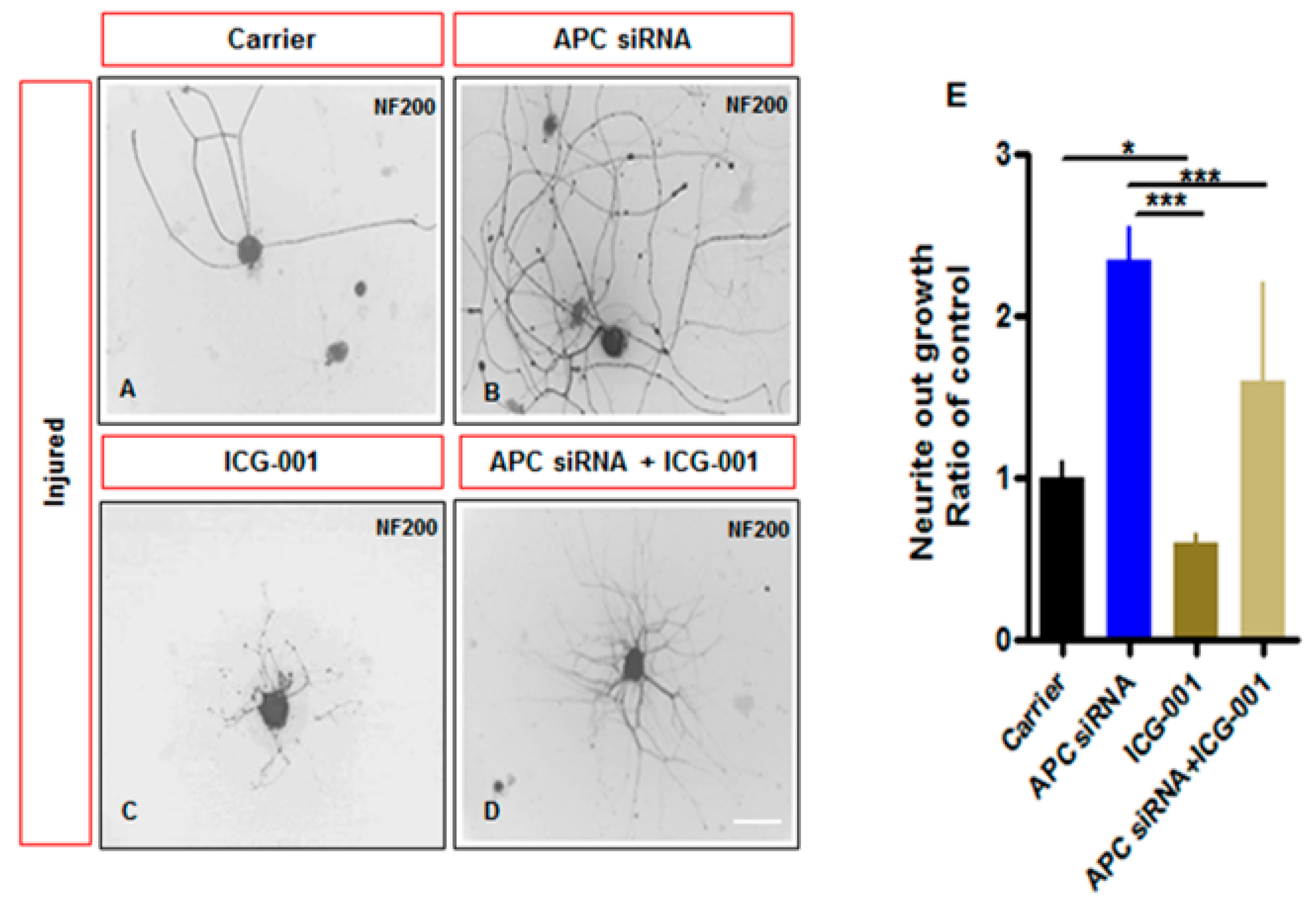 Ijms 23 13566 g006a Ijms 23 13566 g006a