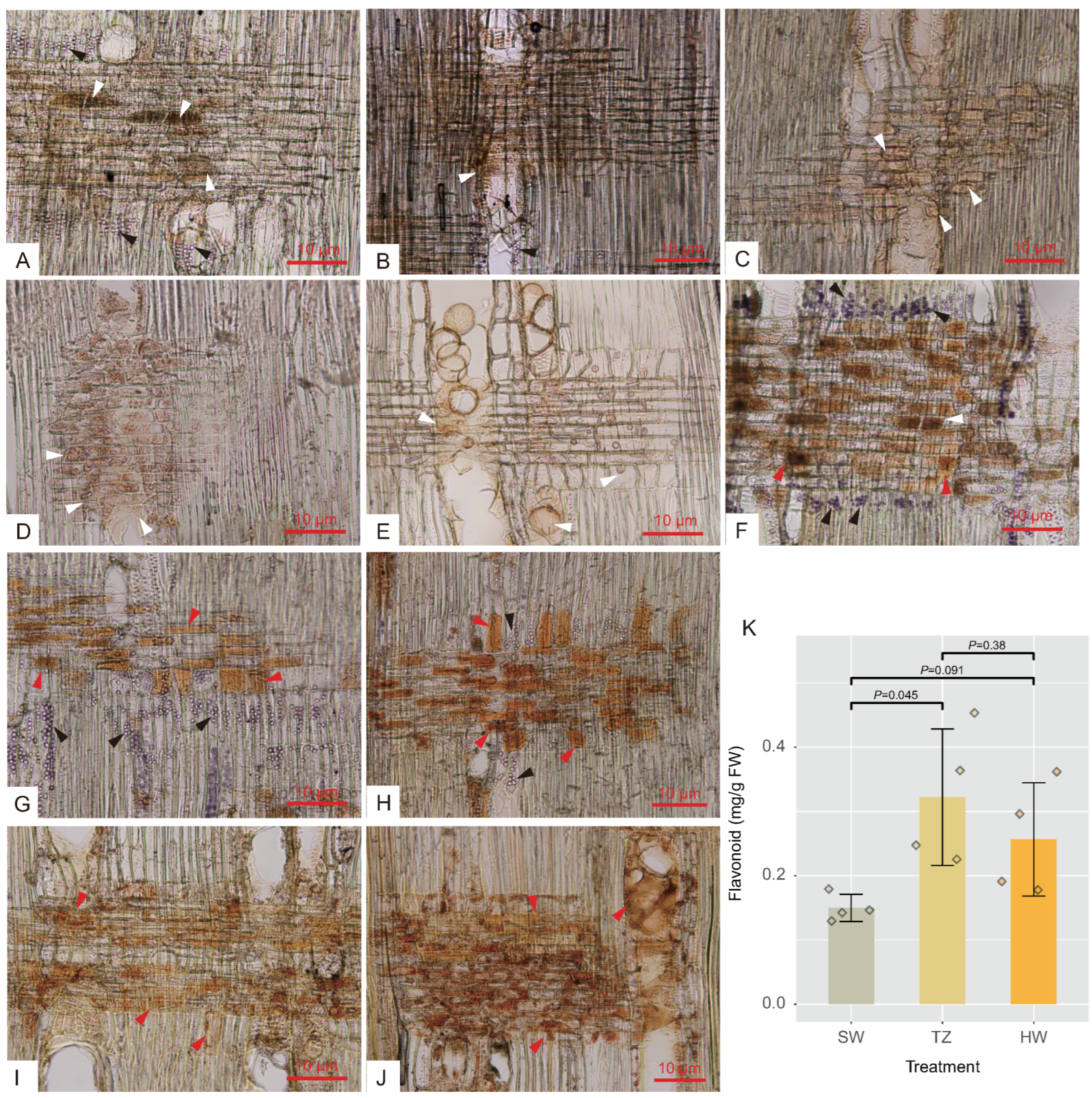 Ijms 23 13569 g002 Ijms 23 13569 g002