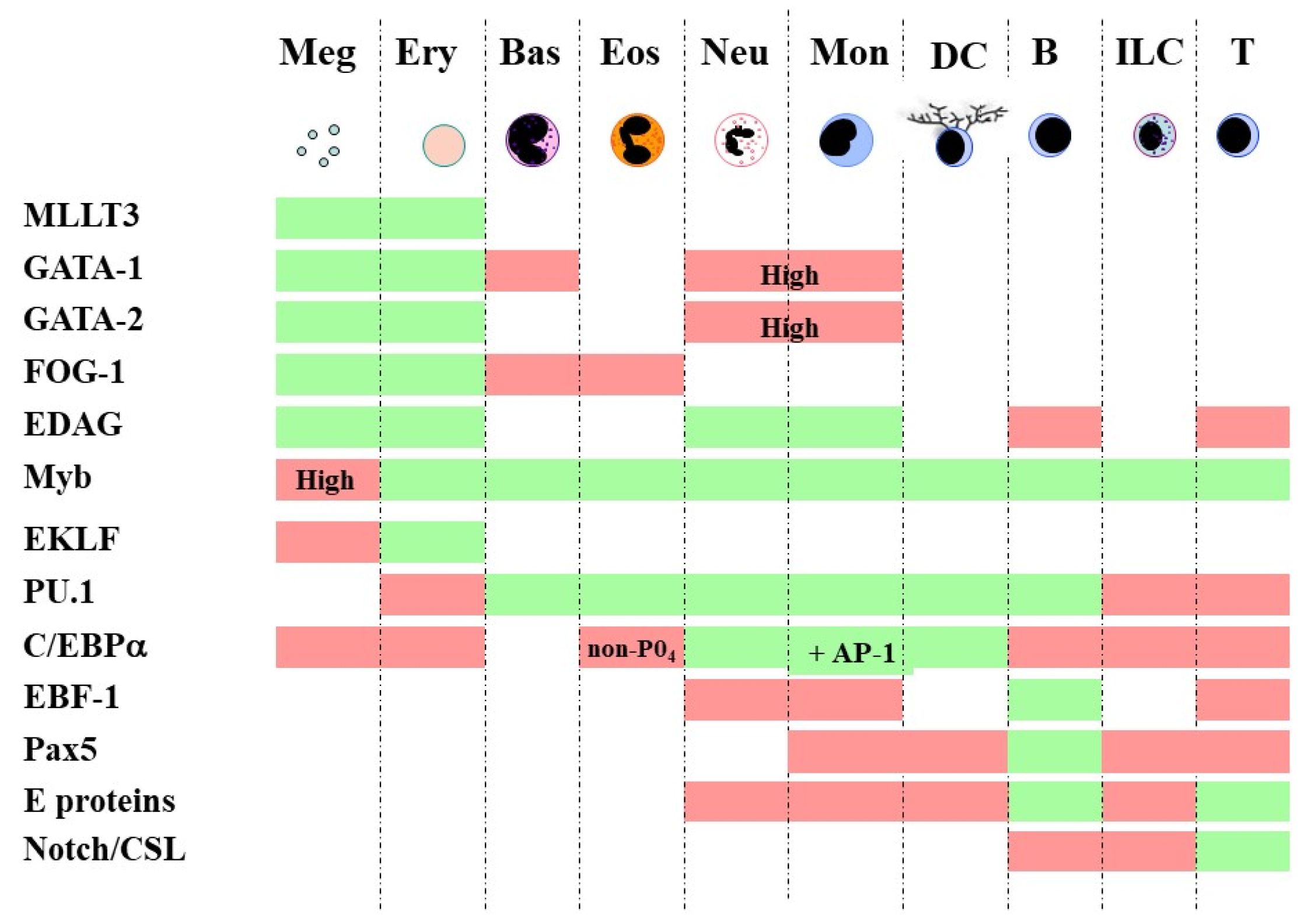 Ijms 23 13570 g001 Ijms 23 13570 g001